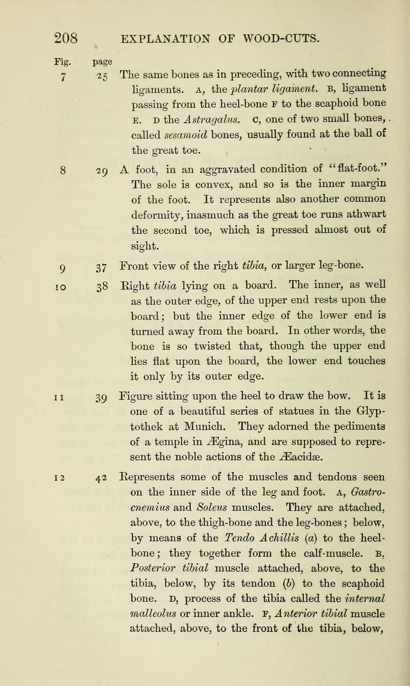 Fig. page 7 25 The same bones as in preceding, with two connecting ligaments. A, the 'plantar ligament, b, ligament passing from the heel-bone r to the scaphoid bone E. D the Astragalus. C, one of two small bones,. called sesamoid bones, usually found at the ball of the great toe. ^ 8 29 A foot, in an aggravated condition of fiat-foot. The sole is convex, and so is the inner margin of the foot. It represents also another common deformity, inasmuch as the great toe runs athwart the second toe, which is pressed almost out of sight. 9 37 Front view of the right tibia, or larger leg-bone. 10 38 Eight tilia lying on a board. The inner, as well as the outer edge, of the upper end rests upon the board; but the inner edge of the lower end is turned away from the board. In other words, the bone is so twisted that, though the upper end lies flat upon the board, the lower end touches it only by its outer edge. 11 39 Figure sitting upon the heel to draw the bow. It' is one of a beautiful series of statues in the Grlyp- tothek at Munich. They adorned the pediments of a temple in ^gina, and are supposed to repre- sent the noble actions of the ^acidse. 12 42 Kepresents some of the muscles and tendons seen on the inner side of the leg and foot, a. Gastro- cnemius and Soleus muscles. They are attached, above, to the thigh-bone and the leg-bones; below, by means of the Tendo A chillis (a) to the heel- bone; they together form the calf-muscle. B, Posterior tibial muscle attached, above, to the tibia, below, by its tendon (b) to the scaphoid bone. D, process of the tibia called the internal malleolus or inner ankle. F, Anterior tibial muscle attached, above, to the front of the tibia, below.