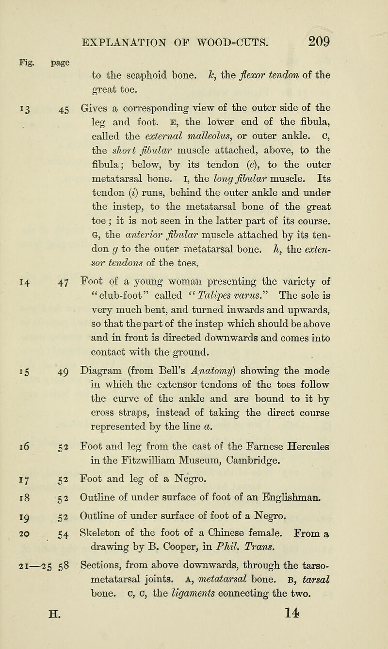 Fig. page to the scaphoid bone. Ic, the flexor tendon of the great toe. 13 45 Gives a corresponding view of the outer side of the leg and foot, e, the lower end of the fibula, called the external malleolus, or outer ankle. C, the short fibular muscle attached, above, to the fibula; below, by its tendon (c), to the outer metatarsal bone. I, the long fibular muscle. Its tendon (i) runs, behind the outer ankle and under the instep, to the metatarsal bone of the great toe; it is not seen in the latter part of its course. G, the anterior fibular muscle attached by its ten- don g to the outer metatarsal bone, h, the exten- sor tendons of the toes. 14 47 Foot of a young woman presenting the variety of club-foot called Talipes varus.''^ The sole is very much bent, and turned inwards and upwards, so that the part of the instep which should be above and in front is directed downwards and comes into contact with the ground. 15 49 Diagram (from Bell's Anatomy) showing the mode in which the extensor tendons of the toes follow the curve of the ankle and are bound to it by cross straps, instead of taking the direct course represented by the line a. 16 52 Foot and leg from the cast of the Famese Hercules in the FitzwiUiam Museum, Cambridge. Foot and leg of a Negro. Outline of under surface of foot of an Englishman. Outline of under surface of foot of a Negro. Skeleton of the foot of a Chinese female. From a drawing by B. Cooper, in Phil. Trans. 21—25 58 Sections, from above downwards, through the tarso- metatarsal joints. A, metatarsal bone. B, tarsal bone, c, C, the ligaments connecting the two. H. 14 17 52 18 52 19 52 20 54