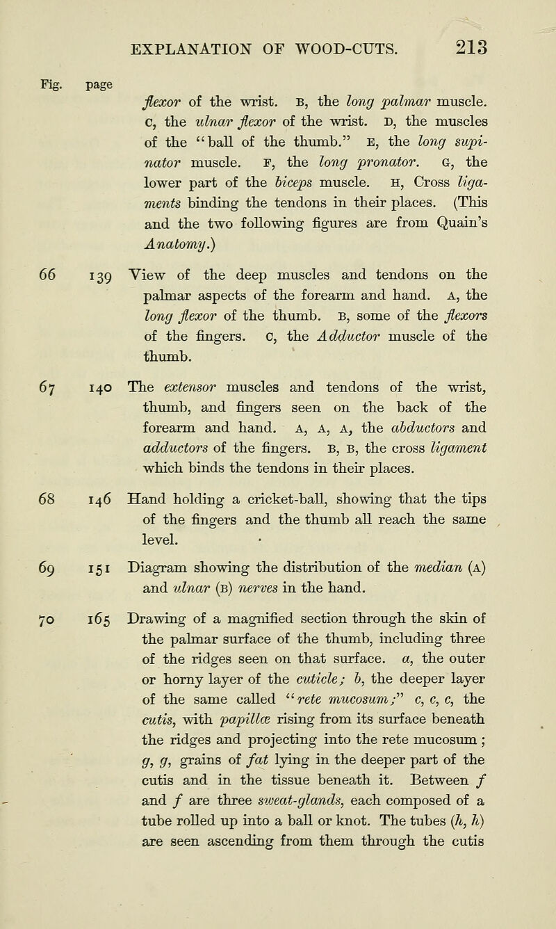 Fig. page fiexor of the wrist. B, the long palmar muscle. c, the ulnar jlexor of the wrist. D, the muscles of the ball of the thumb. E, the long supi- nator muscle. F, the long pronator. g, the lower part of the hiceps muscle. H, Cross liga- ments binding the tendons in their places. (This and the two following figures are from Quain's Anatomy.) 66 139 View of the deep muscles and tendons on the palmar aspects of the forearm and hand. A, the long flexor of the thumb. B, some of the flexors of the fingers. C, the Adductor muscle of the thumb. 67 140 The extensor muscles and tendons of the wrist, thumb, and fingers seen on the back of the forearm and hand. A, A, A, the abductors and adductors of the fingers. B, b, the cross ligament which binds the tendons in their places. 68 146 Hand holding a cricket-ball, showing that the tips of the fingers and the thumb all reach the samte level. 69 151 Diagram showing the distribution of the median (a) and ulnar (b) nerves in the hand. 70 165 Drawing of a magnified section through the skin of the palmar surface of the thumb, including three of the ridges seen on that surface, a, the outer or homy layer of the cuticle; b, the deeper layer of the same called refe mucosum/^ c, c, c, the cutis, with papillce rising from its surface beneath the ridges and projecting into the rete mucosum ; g, g, grains of fat lying in the deeper part of the cutis and in the tissue beneath it. Between / and / are three sweat-glands, each composed of a tube rolled up into a ball or knot. The tubes {h, h) are seen ascending from them through the cutis