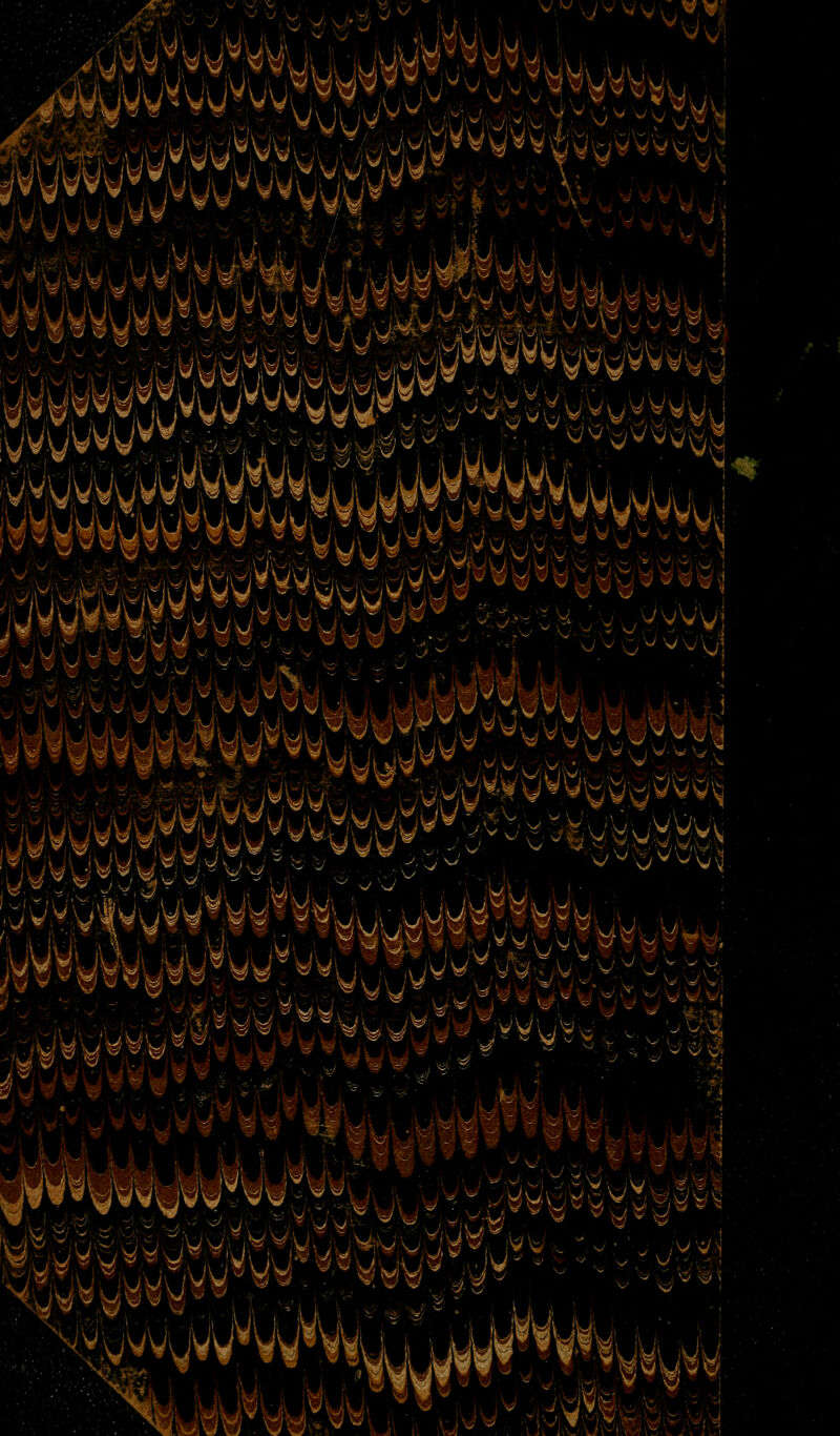 w. \l¥.- V *VW ÜWW Krograi i W« , fr '• 1™ s ,v/ ^MfWW'i . v:yvy M0M $5 iWWuW toW3vWv iW\AAi wv ww< vvr-.vw %^^ «M^ <