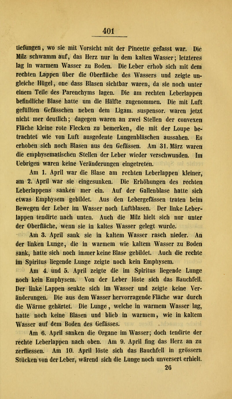 tiefungen, wo sie mit Vorsicht mit der Pincette gefasst war. Die Milz schwamm auf, das Herz nur in dem Icalten Wasser; letzteres lag in warmem Wasser zu Boden. Die Leber erhob sich mit dem rechten Lappen über die Oberfläche des Wassers und zeigte un- gleiche Hügel, one dass Blasen sichtbar waren, da sie noch unter einem Teile des Parenchyms lagen. Die am rechten Leberlappen befindliche Blase hatte um die Hälfte zugenommen. Die mit Luft gefüllten Gefässchen neben dem Ligam. suspensor. waren jetzt nicht mer deutlich; dagegen waren an zwei Stellen der convexen Fläche kleine rote Flecken zu bemerken, die mit der Loupe be- trachtet wie von Luft ausgedente Lungenbläschen aussahen. Es erhoben sich noch Blasen aus den Gefässen. Am 31. März waren die emphysematischen Stellen der Leber wieder verschwunden. Im üebrigen waren keine Veränderungen eingetreten. Am 1. April war die Blase am rechten Leberlappen kleiner, am 2. April war sie eingesunken. Die Erhöhungen des rechten Leberlappens sanken mer ein. Auf der Gallenblase hatte sich etwas Emphysem gebildet. Aus den Lebergefässen traten beim Bewegen der Leber im Wasser noch Luftblasen. Der Unke Leber- lappen tendirte nach unten. Auch die Milz hielt sich nur unter der Oberfläche, wenn sie in kaltes Wasser gelegt wurde. Am 3. April sank sie in kaltem Wasser rasch nieder. An der linken Lunge, die in warmem wie kaltem Wasser zu Boden sank, hatte sich noch immer keine Blase gebildet. Auch die rechte im Spiritus liegende Lunge zeigte noch kein Emphysem. Am 4. und 5. April zeigte die im Spiritus liegende Lunge noch kein Emphysem. Von der Leber löste sich das Bauchfell. Der linke Lappen senkte sich im Wasser und zeigte keine Ver- änderungen. Die aus dem Wasser hervorragende Fläche war durch die Wärme gehärtet. Die Lunge, welche in warmem Wasser lag, hatte noch keine Blasen und blieb in warmem, wie in kaltem Wasser auf dem Boden des Gefässes. Am 6. April sanken die Organe im Wasser; doch tendirte der rechte Leberlappen nach oben. Am 9. April fing das Herz an zu zerfliessen. Am 10. April löste sich das Bauchfell in grössern Stücken von der Leber, wärend sich die Lunge noch unversert erhielt. 26