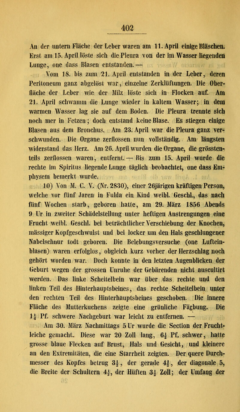 An der untern Fläche der Leber waren am 11. April einige Bläschen. Erst am 15. April löste sich die Pleura von der im Wasser liegenden Lunge, one dass Blasen entstanden.— Vom 18. bis zum 21. April entstanden in der Leber, deren Peritoneum ganz abgelöst war, einzelne Zerklüftungen. Die Ober- fläche der Leber wie der Milz löste sich in Flocken auf. Am 21. April schwamm die Lunge wieder in kaltem Wasser; in dem warmen Wasser lag sie auf dem Boden. Die Pleura trennte sich noch mer in Fetzen; doch entstand keine Blase. Es stiegen einige Blasen aus dem Bronchus. Am 23. April war die Pleura ganz ver- schwamden. Die Organe zerflossen nun vollständig. Am längsten widerstand das Herz. Am 26. April wurden die Organe, die grössten- teils zerflossen waren, entfernt.— Bis zum 15. April wurde die rechte im Spiritus liegende Lunge täglich beobachtet, one dass Em- physem bemerkt wurde. 10) Von M. C. V. (Nr. 2830), einer 26järigen kräftigen Person, welche vor fünf Jaren in Fulda ein Kind weibL Geschl., das nach fünf Wochen starb, geboren hatte, am 29. März 1856 Abends 9 Ur in zweiter Schädelstellung unter heftigen Anstrengungen eine Frucht weibl. Geschl. bei beträchtlicher Verschiebung der Knochen, massiger Kopfgeschwulst und bei locker um den Hals geschlungener Nabelschnur todt geboren. Die Belebungsversuche (one Luftein- blasen) waren erfolglos, obgleich kurz vorher der Herzschlag noch gehört worden war. Doch konnte in den letzten Augenblicken der Geburt wegen der grossen Unruhe der Gebärenden nicht auscultirt werden. Das linke Scheitelbein w^ar über das rechte und den linken Teil des Hinterhauptsbeines, das rechte Scheitelbein unter den rechten Teil des Hinterhauptsbeines geschoben. Die innere Fläche des Mutterkuchens zeigte eine grünhche Fä|;bung. Die 1 i Pf. schwere Nachgeburt war leicht zu entfernen. — Am 30. März Nachmittags 5 Ur wurde die Section der Frucht- leiche gemacht. Diese war 20 Zoll lang, 6^ Pf. schwer, hatte grosse blaue Flecken auf Brust, Hals und Gesicht, und kleinere an den Extremitäten, die eine Starrheit zeigten. Der quere Durch- messer des Kopfes betrug 3|, der gerade 4f, der diagonale 5, die Breite der Schultern 4^, der Hüften 3^ Zoll; der Umfang der