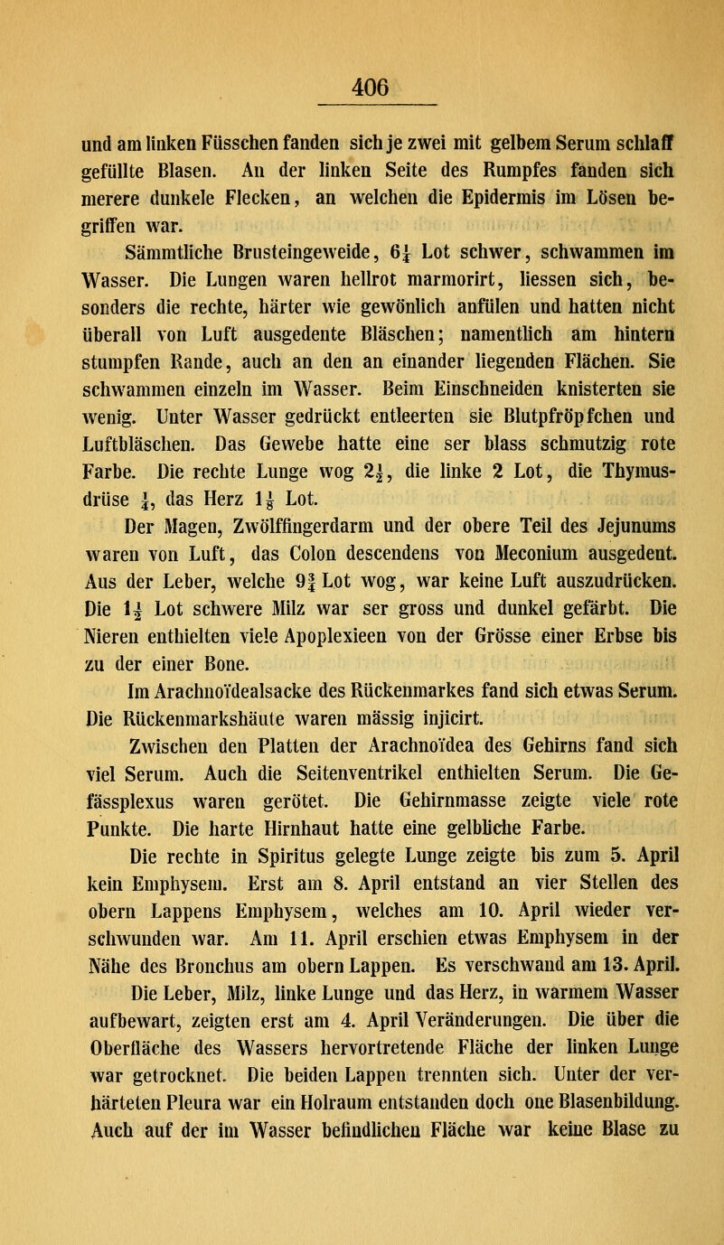 und am linken Füsschen fanden sich je zwei mit gelbem Serum schlaff gefüllte Blasen. An der linken Seite des Rumpfes fanden sich merere dunkele Flecken, an welchen die Epidermis im Lösen be- griffen war. Sämmtliche Brusteingeweide, 6^ Lot schwer, schwammen im Wasser. Die Lungen waren hellrot marmorirt, Hessen sich, be- sonders die rechte, härter wie gewönlich anfülen und hatten nicht überall von Luft ausgedente Bläschen; namentlich am hintern stumpfen Rande, auch an den an einander liegenden Flächen. Sie schwammen einzeln im Wasser. Beim Einschneiden knisterten sie wenig. Unter Wasser gedrückt entleerten sie Blutpfröpfchen und Luftbläschen. Das Gewebe hatte eine ser blass schmutzig rote Farbe. Die rechte Lunge wog 2|, die linke 2 Lot, die Thymus- drüse ^, das Herz 1| Lot. Der Magen, Zwölffingerdarm und der obere Teil des Jejunums waren von Luft, das Colon descendens von Meconium ausgedent. Aus der Leber, welche 9| Lot wog, war keine Luft auszudrücken. Die \i Lot schwere Milz war ser gross und dunkel gefärbt. Die Nieren enthielten viele Apoplexieen von der Grösse einer Erbse bis zu der einer Bone. Im ArachnoTdealsacke des Rückenmarkes fand sich etwas Serum. Die Rückenmarkshäute waren massig injicirt. Zwischen den Platten der Arachnoidea des Gehirns fand sich viel Serum. Auch die Seitenventrikel enthielten Serum. Die Ge- fässplexus waren gerötet. Die Gehirnmasse zeigte viele rote Punkte. Die harte Hirnhaut hatte eine gelbliche Farbe. Die rechte in Spiritus gelegte Lunge zeigte bis zum 5. April kein Emphysem. Erst am 8. April entstand an vier Stellen des Obern Lappens Emphysem, welches am 10. April wieder ver- schwunden war. Am 11. April erschien etwas Emphysem in der Nähe des Bronchus am obern Lappen. Es verschwand am 13. April. Die Leber, Milz, linke Lunge und das Herz, in warmem Wasser aufbewart, zeigten erst am 4. April Veränderungen. Die über die Oberfläche des Wassers hervortretende Fläche der linken Lunge war getrocknet. Die beiden Lappen trennten sich. Unter der ver- härteten Pleura war ein Holraum entstanden doch one Blasenbildung. Auch auf der im Wasser befindHchen Fläche war keine Blase zu