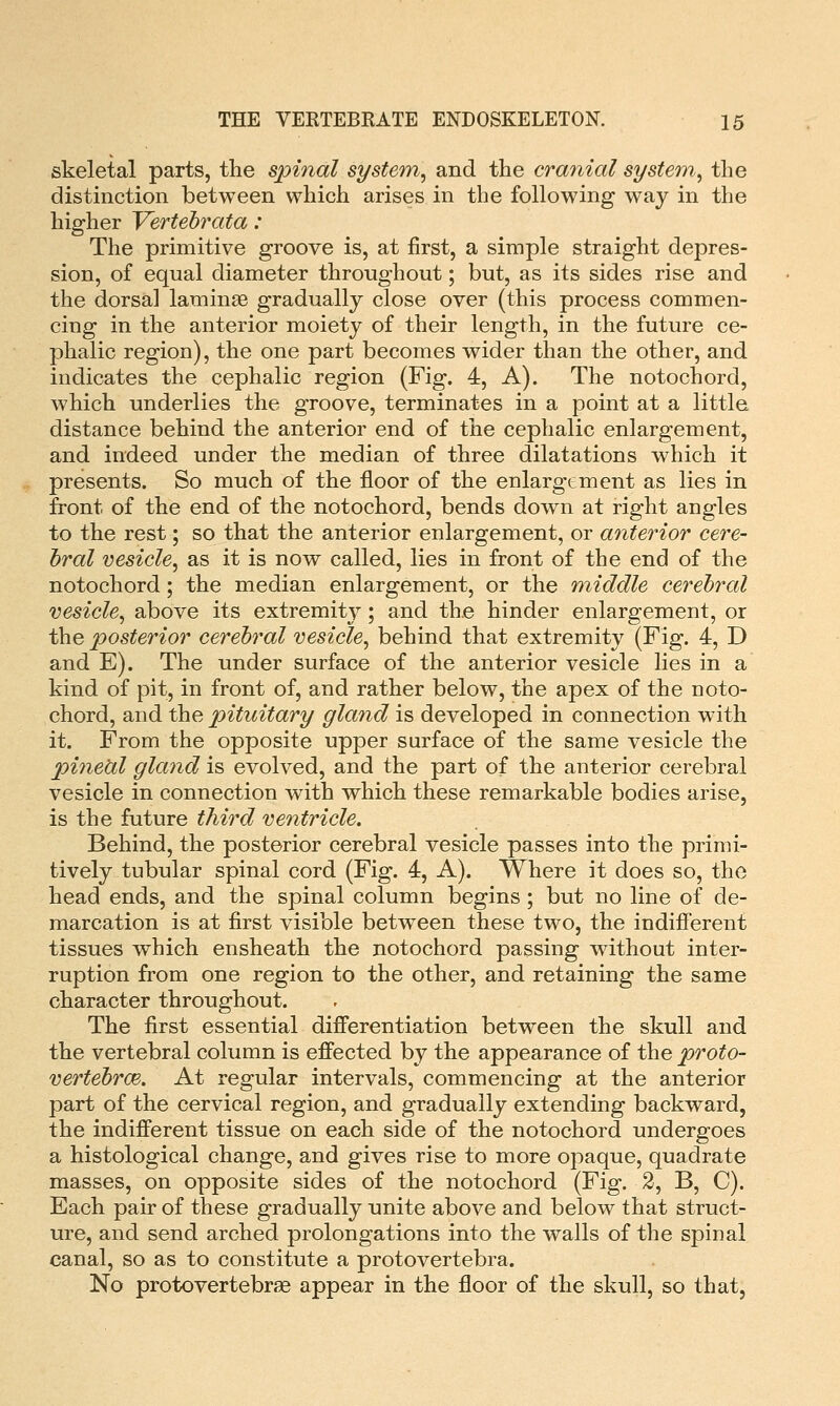 skeletal parts, the spinal system^ and the cranial system^ the distinction between which arises in the following way in the higher Vertehrata: The primitive groove is, at first, a simple straight depres- sion, of equal diameter throughout; but, as its sides rise and the dorsal laminse gradually close over (this process commen- cing in the anterior moiety of their length, in the future ce- phalic region), the one part becomes wider than the other, and indicates the cephalic region (Fig. 4, A). The notochord, which underlies the groove, terminates in a point at a little distance behind the anterior end of the cephalic enlargement, and indeed under the median of three dilatations which it presents. So much of the floor of the enlargement as lies in front of the end of the notochord, bends down at right angles to the rest; so that the anterior enlargement, or anterior cere- bral vesicle^ as it is now called, lies in front of the end of the notochord; the median enlargement, or the middle cerebral vesicle^ above its extremit}^; and the hinder enlargement, or the posterior cerebral vesicle^ behind that extremity (Fig. 4, D and E). The under surface of the anterior vesicle lies in a kind of pit, in front of, and rather below, the apex of the noto- chord, and the pituitary glaiid is developed in connection with it. From the opposite upper surface of the same vesicle the pineal gland is evolved, and the part of the anterior cerebral vesicle in connection with which these remarkable bodies arise, is the future third ventricle. Behind, the posterior cerebral vesicle passes into the primi- tively tubular spinal cord (Fig. 4, A). Where it does so, the head ends, and the spinal column begins ; but no line of de- marcation is at first visible between these two, the indifferent tissues which ensheath the notochord passing without inter- ruption from one region to the other, and retaining the same character throughout. The first essential difi'erentiation between the skull and the vertebral column is effected by the appearance of the proto- vertebrm. At regular intervals, commencing at the anterior part of the cervical region, and gradually extending backward, the indifferent tissue on each side of the notochord undergoes a histological change, and gives rise to more opaque, quadrate masses, on opposite sides of the notochord (Fig. 2, B, C). Each pair of these gradually unite above and below that struct- ure, and send arched prolongations into the walls of the spinal canal, so as to constitute a protovertebra. No protovertebrae appear in the floor of the skull, so that,