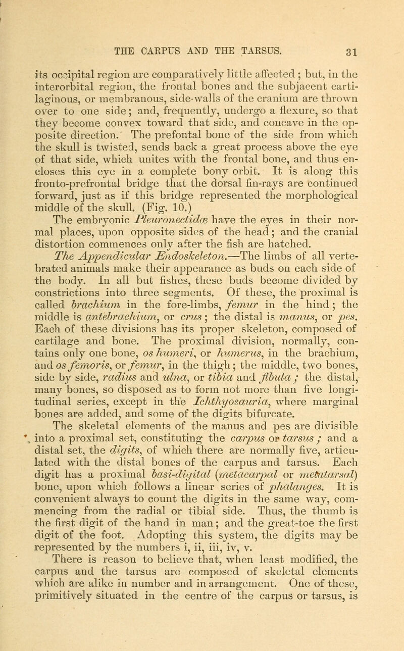 its ocsipital region are comparatively little affected ; but, in the interorbital region, the frontal bones and the subjacent carti- laghious, or membranous, side-walls of the cranium are thrown over to one side; and, frequently, undergo a flexure, so that they become convex toward that side, and concave in the op- posite direction. The prefontal bone of the side from which the skull is twisted, sends back a great process above the eye of that side, which unites with the frontal bone, and thus en- closes this eye in a complete bony orbit. It is along this fronto-prefrontal bridge that the dorsal fin-rays are continued forward, just as if this bridge represented the morphological middle of the skull. (Fig. 10.) The embryonic PleuronectidcB have the eyes in their nor- mal places, upon opposite sides of the head; and the cranial distortion commences only after the fish are hatched. The Appendicular JSndoskeleton.—The limbs of all verte- brated animals make their appearance as buds on each side of the body. In all but fishes, these buds become divided by constrictions into three segments. Of these, the proximal is called hrachium in the fore-limbs, femur in the hind; the middle is aniebracTiium^ or crus; the distal is mantis, or ^jes. Each of these divisions has its proper skeleton, composed of cartilage and bone. The proximal division, normally, con- tains only one bone, os humeri^ or humerus, in the brachium, and OS femoris, ot femur, in the thigh; the middle, two bones, side by side, radius and ulna, or tibia and fibula ; the distal, many bones, so disposed as to form not more than five longi- tudinal series, except in the Ichthyosauria, where marginal bones are added, and some of the digits bifurcate. The skeletal elements of the manus and pes are divisible into a proximal set, constituting the carpus or tarsus / and a distal set, the digits, of which there are normally five, articu- lated with the distal bones of the carpus and tarsus. Each digit has a proximal basi-digital [metacarpal or metatarsal) bone, upon which follows a linear series of phalanges. It is convenient always to count the digits in the same way, com- mencing from the radial or tibial side. Thus, the thumb is the first digit of the hand in man; and the great-toe the first digit of the foot. Adopting this system, the digits may be represented by the numbers i, ii, iii, iv, v. There is reason to believe that, when least modified, the carpus and the tarsus are composed of skeletal elements which are alike in number and in arrangement. One of these, primitively situated in the centre of the carpus or tarsus, is