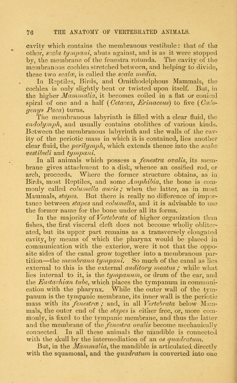 cavity which contains the membranous vestibule: that of the other, soala tympani^ abuts against, and is as it were stopped by, the membrane of the fenestra rotunda. The cavity of the membranous cochlea stretched between, and helping to divide, these two sccilce, is called the scala media. In Reptiles, Birds, and Ornithodelphous Mammals, the cochlea is only slightly bent or twisted upon itself. But, in the higher Mammalia, it becomes coiled in a flat or conical spiral of one and a half [Cetacea, Erinaceus) to five [Cmlo- genys Paca) turns. The membranous labyrinth is filled with a clear fluid, the endolymph, and usually contains otolithes of various kinds. Between the membranous labyrinth and the walls of the cav- ity of the periotic mass in which it is contained, lies another clear fluid, the perilymph, which extends thence into the scalm vestihidi and tympani. In all animals which possess a fenestra ovalis, its mem- brane gives attachment to a disk, whence an ossified rod, or arch, proceeds. Where the former structure obtains, as in Birds, most Reptiles, and some Amphibia, the bone is com- monly called columella auris ; when the latter, as in most Mammals, stapes. But there is really no difference of impor- tance between stapes and columella, and it is advisable to use the former name for the bone under all its forms. In the majority oiVertebrata of higher organization than fishes, the first visceral cleft does not become wholly obliter- ated, but its upper part remains as a transversely elongated cavityj by means of which the pharynx would be placed in communication with the exterior, were it not that the oppo- site sides of the canal grow together into a membranous par- tition—the memhrana tympani. So much of the canal as lies external to this is the external auditory meatus ; while what lies internal to it, is the tympanum, or drum of the ear, and the Eustachian tube, which places the tympanum in communi- cation with the pharynx. While the outer wall of the tym- panum is the tympanic membrane, its inner wall is the periotic mass with its fenestrce; and, in all Vertebrata below Mam- mals, the outer end of the stapes is either free, or, more com- monly, is fixed to the tympanic membrane, and thus the latter and the membrane of ^\e fenestra ovalis become mechanically connected. In all these animals the mandible is connected with the sjiull by the intermediation of an os quadratum. But, in the Mammalia, the mandible is articulated directly with the squamosal, and the quadratum is converted into one