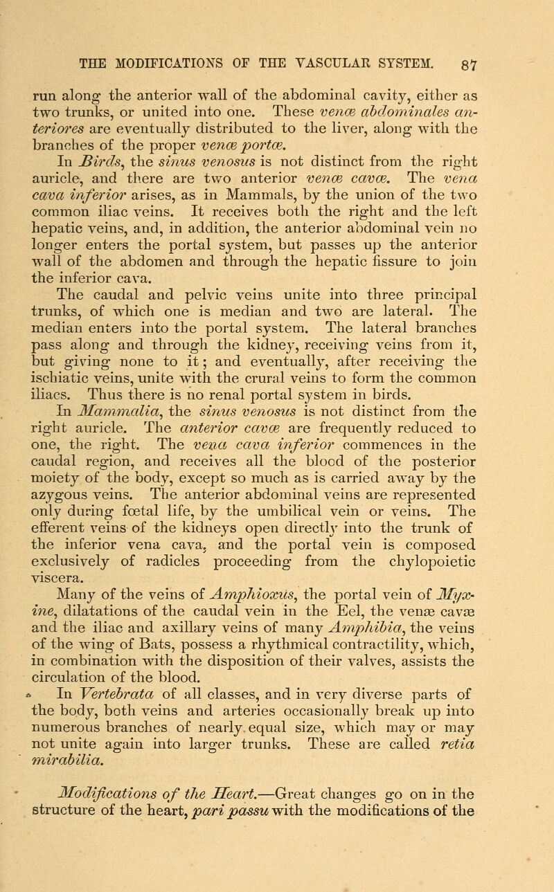 run. along the anterior wall of the abdominal cavity, either as two trunks, or united into one. These vencB ahdotninales an- teriores are eventually distributed to the liver, along with the branches of the proper veiice portm. In Birds^ the sinus venosus is not distinct from the right auricle, and there are two anterior venm cavoe. The vena cava inferior arises, as in Mammals, by the union of the two common iliac veins. It receives both the right and the left hepatic veins, and, in addition, the anterior abdominal vein no longer enters the portal system, but passes up the anterior wall of the abdomen and through the hepatic fissure to join the inferior cava. The caudal and pelvic veins unite into three principal trunks, of which one is median and two are lateral. The median enters into the portal system. The lateral branches pass along and through the kidney, receiving veins from it, but giving none to it; and eventually, after receiving the ischiatic veins, unite with the crural veins to form the common iliacs. Thus there is no renal portal system in birds. In Mammalia^ the sinus venosus is not distinct from the right auricle. The anterior cavce are frequently reduced to one, the right. The vena cava inferior commences in the caudal region, and receives all the blood of the posterior moiety of the body, except so much as is carried away by the azygous veins. The anterior abdominal veins are represented only during foetal life, by the umbilical vein or veins. The efferent veins of the kidneys open directly into the trunk of the inferior vena cava, and the portal vein is composed exclusively of radicles proceeding from the chylopoietic viscera. Many of the veins of Amphioxils, the portal vein of Myx- ine, dilatations of the caudal vein in the Eel, the venae cavaa and the iliac and axillary veins of many Amphibia^ the veins of the wing of Bats, possess a rhythmical contractility, which, in combination with the disposition of their valves, assists the circulation of the blood. In Vertehrata of all classes, and in very diverse parts of the body, both veins and arteries occasionally break up into numerous branches of nearly, equal size, which may or may not unite again into larger trunks. These are called retia mirabilia. Modifications of the Heart.—Great changes go on in the structure of the heart, joar^ ^a55W with the modifications of the
