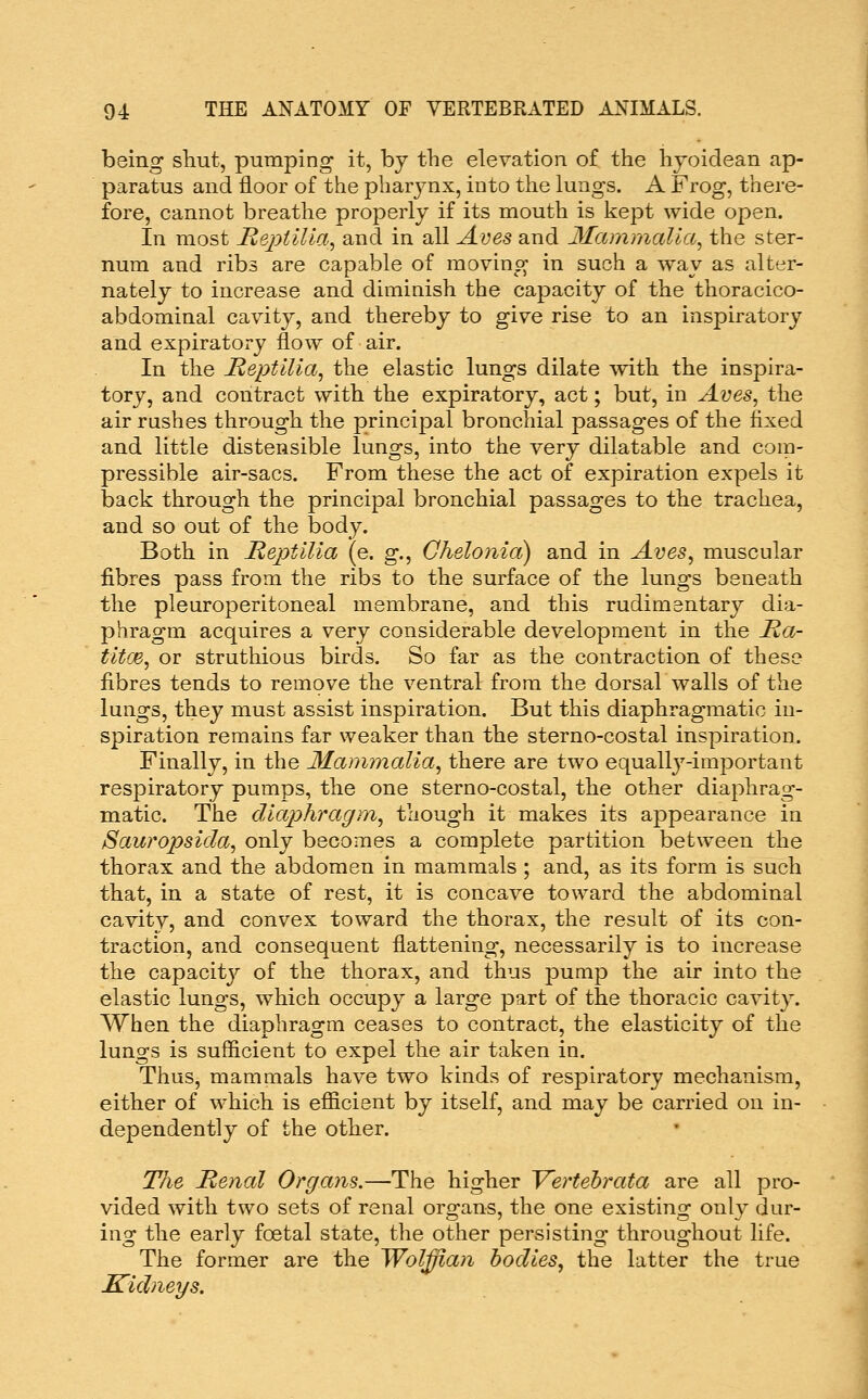 being shut, pumping it, by the elevation of the hyoidean ap- paratus and floor of the phaiynx, into the lungs. A Frog, there- fore, cannot breathe projDerly if its mouth is kept wide open. In most Hejyiilla., and in all Aves and 3Iammalla^ the ster- num and ribs are capable of moving in such a way as alter- nately to increase and diminish the capacity of the thoracico- abdominal cavity, and thereby to give rise to an inspiratory and expiratory flow of air. In the Heptilia^ the elastic lungs dilate with the inspira- tory, and contract with the expiratory, act; but, in Aves, the air rushes through the principal bronchial passages of the fixed and little distensible lungs, into the very dilatable and com- pressible air-sacs. From these the act of expiration expels it back through the principal bronchial passages to the trachea, and so out of the body. Both in JReptilia (e. g., Chelonia) and in Aves, muscular fibres pass from the ribs to the surface of the lungs beneath the pleuroperitoneal membrane, and this rudimentary dia- phragm acquires a very considerable development in the B,a- titfje, or struthious birds. So far as the contraction of these fibres tends to remove the ventral from the dorsal walls of the lungs, they must assist inspiration. But this diaphragmatic in- spiration remains far weaker than the sterno-costal inspiration. Finally, in the Mammalia, there are two equally-important respiratory pumps, the one sterno-costal, the other diaphrag- matic. The diaphragm, though it makes its appearance in Sauropsida, only becomes a complete partition between the thorax and the abdomen in mammals ; and, as its form is such that, in a state of rest, it is concave toward the abdominal cavity, and convex toward the thorax, the result of its con- traction, and consequent flattening, necessarily is to increase the capacity of the thorax, and thus pump the air into the elastic lungs, which occupy a large part of the thoracic cavity. When the diaphragm ceases to contract, the elasticity of the lungs is sufficient to expel the air taken in. Thus, mammals have two kinds of respiratory mechanism, either of which is efficient by itself, and may be carried on in- dependently of the other. The Renal Organs.—-The higher Vertehrata are all pro- vided with two sets of renal organs, the one existing only dur- ing the early foetal state, the other persisting throughout life. The former are the Wolffian bodies, the latter the true Sidneys.