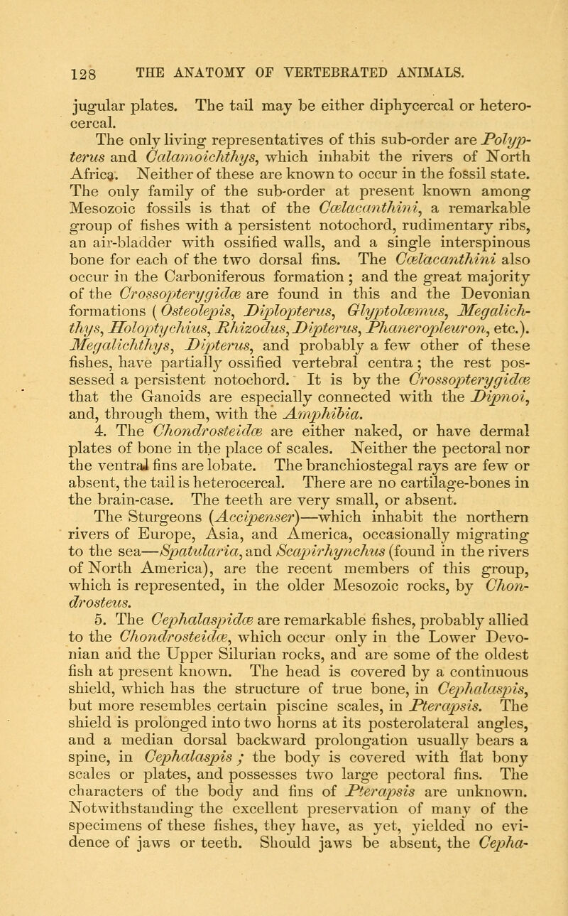 jugular plates. The tail may be either diphycercal or hetero- cercal. The only living representatives of this sub-order are Polyp- terus and Galamoichthys, which inhabit the rivers of ]!^orth Africg,. Neither of these are known to occur in the fossil state. The only family of the sub-order at present known among Mesozoic fossils is that of the Cmlacanthini, a remarkable group of fishes with a persistent notochord, rudimentary ribs, an air-bladder with ossified walls, and a single interspinous bone for each of the two dorsal fins. The Ccelacanthini also occur in the Carboniferous formation; and the great majority of the Crossojyterygidoe are found in this and the Devonian formations (Osteolepis^ Diplopterus^ Glyptolmmus^ Megalich- thys, Holopjtycliius^ Mhizodus^Dipterus, Phajieropleuron, etc.). MegaliGhtliys^ Dipterus^ and probably a few other of these fishes, have partially ossified vertebral centra; the rest pos- sessed a persistent notochord. It is by the CrossopterygidcB that the Ganoids are especially connected with the Dipnoi^ and, through them, with the Artiphibia, 4. The Chondrosteidoe are either naked, or have dermal plates of bone in the place of scales. Neither the pectoral nor the ventral fins are lobate. The branchiostegal rays are few or absent, the tail is heterocercal. There are no cartilage-bones in the brain-case. The teeth are very small, or absent. The Sturgeons [Accipenser)—which inhabit the northern rivers of Europe, Asia, and America, occasionally migrating to the sea—Spatidaria, and Scajnrhynchus (found in the rivers of North America), are the recent members of this group, which is represented, in the older Mesozoic rocks, by Chon- drosteus. 5. The GephalaspidcE are remarkable fishes, probably allied to the Chondrosteidce^ which occur only in the Lower Devo- nian and the Upper Silurian rocks, and are some of the oldest fish at present known. The head is covered by a continuous shield, which has the structure of true bone, in Cephalaspis^ but more resembles certain piscine scales, in Pterapsis. The shield is prolonged into two horns at its posterolateral angles, and a median dorsal backward prolongation usually bears a spine, in Gephalaspis ; the body is covered with flat bony scales or plates, and possesses two large pectoral fins. The characters of the body and fins of JPterapsis are unknown. Notwithstanding the excellent preservation of manj^ of the specimens of these fishes, they have, as yet, jdelded no evi- dence of jaws or teeth. Should jaws be absent, the Gepha-