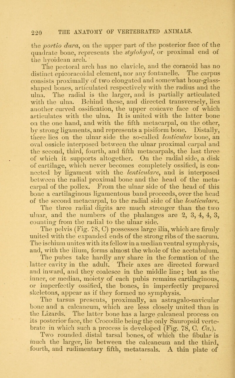 the portio dura, on the upper part of the posterior face of the quadrate bone, represents the stylohyoid or proximal end of the hjoidean arch. The pectoral arch has no clavicle, and the coracoid has no distinct epicoracoidal element, nor any fontanelle. The carpus consists proximally of two elongated and somewhat hour-glass- shaped bones, articulated respectively with the radius and the ulna. The radial is the larger, and is j^artially articulated with the ulna. Behind these, and directed transversely, lies another carved ossification, the upper concave face of which articulates with the ulna. It is united with the latter bone on the one hand, and with the fifth metacarpal, on the other, by strong ligaments, and represents a pisiform bone. Distally, there lies on the ulnar side the so-called lenticular bone, an oval ossicle interposed between the ulnar proximal carpal and the second, third, fourth, and fifth metacarpals, the last three of which it supports altogether. On the radial side, a disk of cartilage, which never becomes completely ossified, is con- nected by ligament with the lenticulare, and is interposed between the radial proximal bone and the head of the meta- carpal of the jDollex. From the ulnar side of the head of this bone a cartilaginous ligamentous band proceeds, over the head of the second metacarpal, to the radial side of the lenticulare. The three radial digits are much stronger than the two ulnar, and the numbers of the jDhalanges are 2, 3, 4, 4, 3, counting from the radial to the ulnar side. The pelvis (Fig. 78, C) possesses large ilia, which are firmly united with the expanded ends of the strong ribs of the sacrum. The ischium unites with its fellow in a median ventral symphysis, and, with the ilium, forms almost the whole of the acetabulum. The pubes take hardly any share in the formation of the latter cavity in the adult. Their axes are directed forward and inward, and they coalesce in the middle line; but as the inner, or median, moiet}?- of each pubis remains cartilaginous, or imperfectly ossified, the bones, in imperfectly prepared skeletons, appear as if they formed no sj^mphysis. The tarsus presents, proximally, an astragalo-navicular bone and a calcaneum, which are less closely united than in the Lizards. The latter bone has a large calcaneal process on its posterior face, the Crocodile being the only Sauropsid verte- brate in which such a process is developed (Fig. 78, C. Ca.). Two rounded distal tarsal bones, of which the fibular is much the larger, lie between the calcaneum and the third, fourth, and rudimentary fifth, metatarsals. A thin plate of