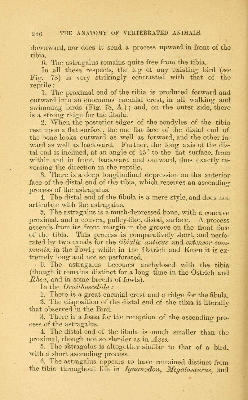downward, nor does it send a process upward in front of the tibia. 6. The astragalus remains quite free from the tibia. In all these respects, the leg of any existing bird (see Fig. 78) is very strikingly contrasted mth that of the reptile: 1. The proximal end of the tibia is produced forward and outward into an enormous cnemial crest, in all walking and swimming birds (Fig. 78, A.) ; and, on the outer side, there is a strong ridge for the fibula. 2. When the posterior edges of the condyles of the tibia rest upon a flat surface, the one flat face of the distal end of the bone looks outward as well as forward, and the other in- ward as well as backward. Further, the long axis of the dis- tal end is inclined, at an angle of 45° to the flat surface, from within and in front, backward and outward, thus exactly re- versing the direction in the reptile. 3. There is a deep longitudinal depression on the anterior face of the distal end of the tibia, which receives an ascending process of the astragalus. 4. The distal end of the fibula is a mere style, and does not articulate with the astragalus. 5. The astragalus is a much-depressed bone, with a concave proximal, and a convex, pulley-like, distal, surface. A process ascends from its front margin in the groove on the front face of the tibia. This process is comparatively short, and perfo- rated by two canals for the tibialis anticus and extensor com- munis^ in the Fowl; while in the Ostrich and Emeu it is ex- tremely long and not so perforated. 6. The astragalus becomes anchylosed with the tibia (though it remains distinct for a long time in the Ostrich and Rhea, and in some breeds of fowls). In the Ornitlioscelida: 1. There is a great cnemial crest and a ridge for the fibula. 2. The disposition of the distal end of the tibia is literally that observed in the Bird. 3. There is a fossa for the reception of the ascending pro- cess of the astragalus. 4. The distal end of the fibula is • much smaller than the proximal, though not so slender as in Aves. 5. The astragalus is altogether similar to that of a bird, with a short ascending process. 6.^ The astragalus appears to have remained distinct from the tibia throughout life in Iguanodon^ Megalosaurus, and