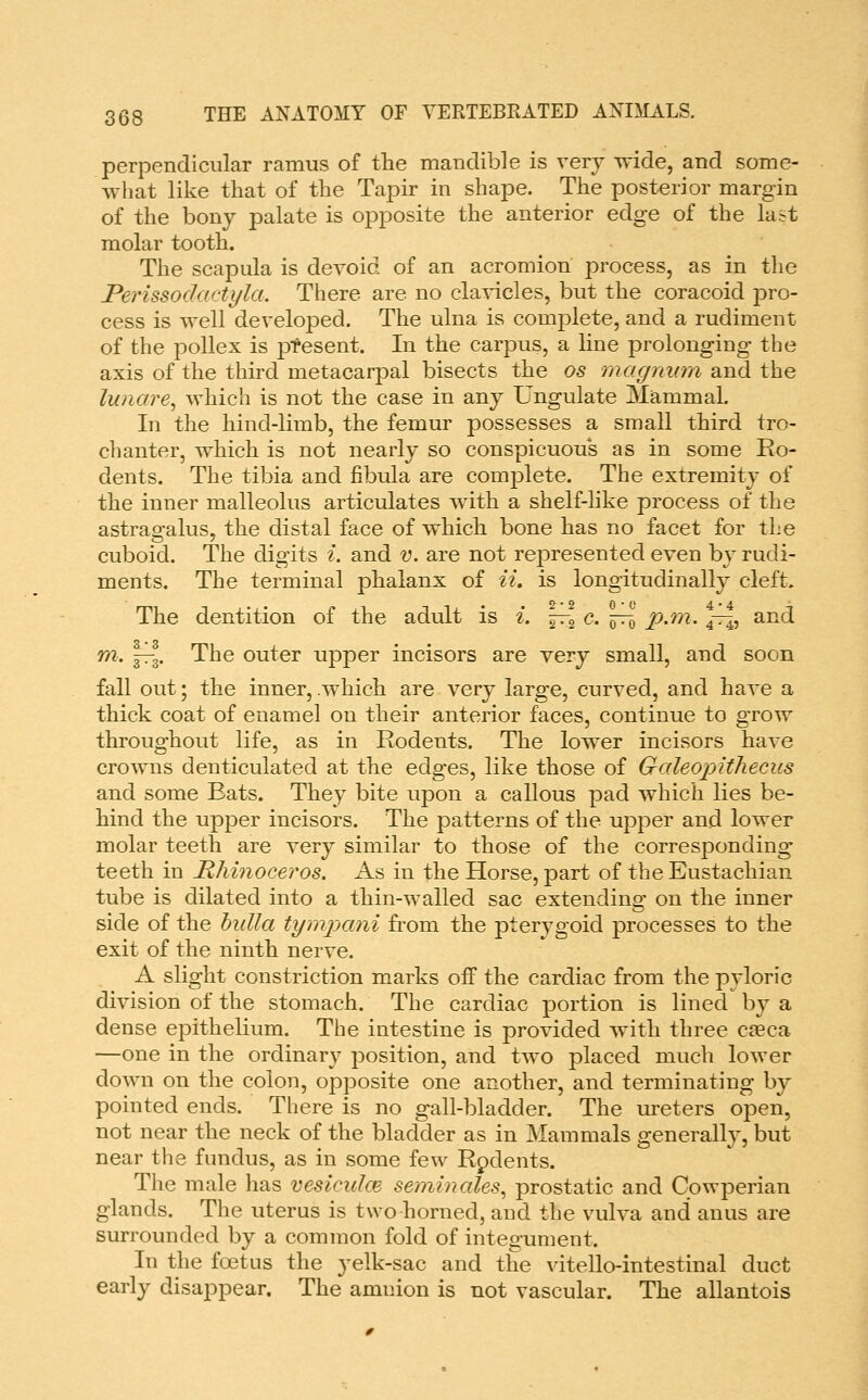 perpendicular ramus of the mandible is very wide, and some- Avhat like that of the Tapir in shape. The posterior margin of the bony palate is opposite the anterior edge of the last molar tooth. The scapula is devoid of an acromion process, as in the PerissodactylcL There are no cla-^dcles, but the coracoid pro- cess is well developed. The ulna is complete, and a rudiment of the pollex is present. In the carpus, a line prolonging the axis of the third metacarpal bisects the os magnum and the lunare^ which is not the case in any Ungulate Mammal. In the hind-limb, the femur possesses a small third tro- chanter, which is not nearly so conspicuous as in some Ro- dents. The tibia and fibula are complete. The extremity of the inner malleolus articulates with a shelf-like process of the astragalus, the distal face of which bone has no facet for the cuboid. The digits i. and v. are not represented even by rudi- ments. The terminal phalanx of ii. is longitudinally cleft. The dentition of the adult is i. jr^ c. ^r^ p.m. 4—i, and m. ^3. The outer upper incisors are very small, and soon fall out; the inner,.which are very large, curved, and have a thick coat of enamel on their anterior faces, continue to grow throughout life, as in Rodents. The lower incisors have crowns denticulated at the edges, like those of Galeopitliecus and some Eats. They bite upon a callous pad which lies be- hind the upper incisors. The patterns of the ujDper and lower molar teeth are very similar to those of the corresponding- teeth in Hhinoceros. As in the Horse, part of the Eustachian tube is dilated into a thin-walled sac extending on the inner side of the bulla tympani from the pterygoid processes to the exit of the ninth nerve. A slight constriction m.arks off the cardiac from the pyloric division of the stomach. The cardiac portion is lined by a dense epithelium. The intestine is provided with three cjeca —one in the ordinary position, and two placed much lower down on the colon, opposite one another, and terminating by pointed ends. There is no gall-bladder. The ureters open, not near the neck of the bladder as in Mammals generally, but near the fundus, as in some few Rodents. The male has vesiculm seminales^ prostatic and Cpwperian glands. The uterus is two horned, and the vulva and anus are surrounded by a common fold of integument. In the foetus the yelk-sac and the vitello-intestinal duct early disappear. The amnion is not vascular. The allantois