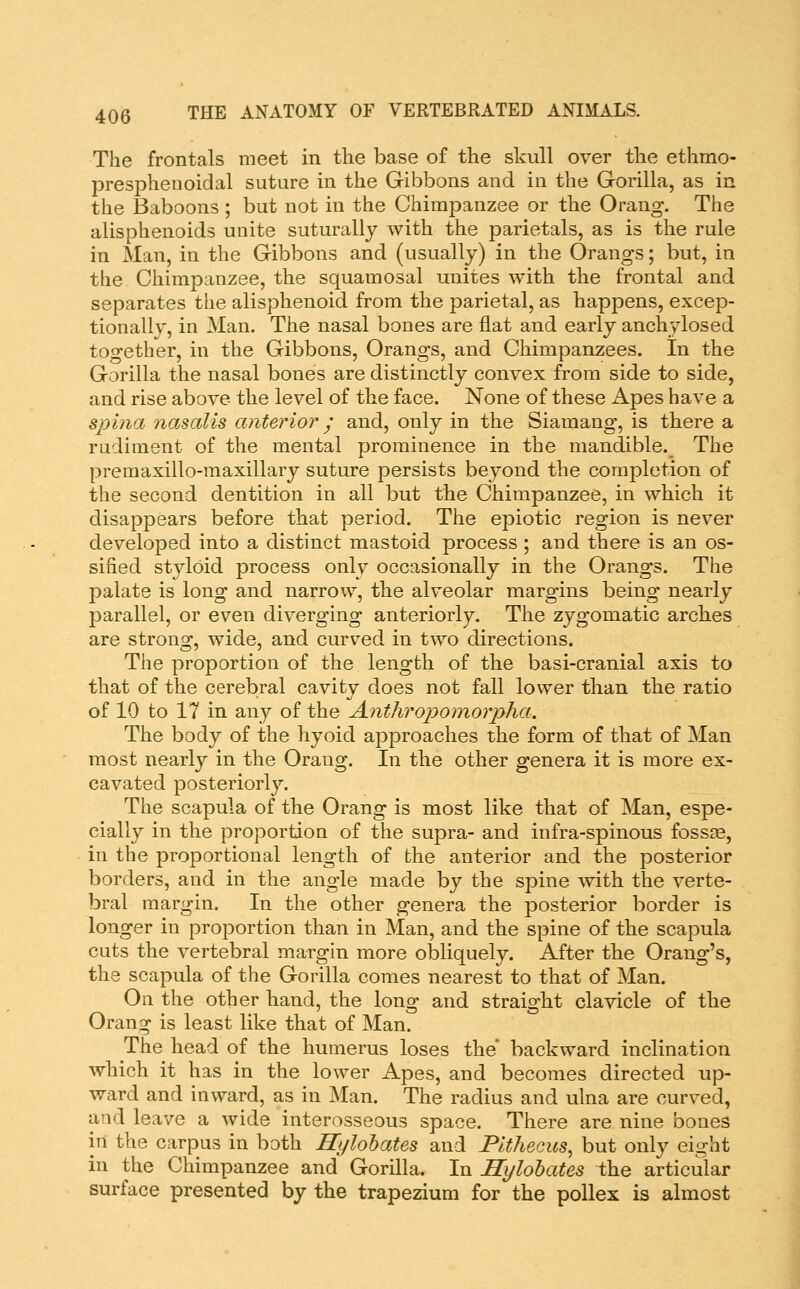 The frontals meet in the base of the skull over the ethmo- presphenoidal suture in the Gibbons and in the Gorilla, as in the Baboons ; but not in the Chimpanzee or the Orang. The alisphenoids unite suturally with the parietals, as is the rule in Man, in the Gibbons and (usually) in the Orangs; but, in the Chimpanzee, the squamosal unites with the frontal and separates the alisphenoid from the parietal, as happens, excep- tionally, in Man. The nasal bones are flat and early anchylosed together, in the Gibbons, Orangs, and Chimpanzees. In the Gorilla the nasal bones are distinctly convex from side to side, and rise above the level of the face. None of these Apes have a spina nasctUs anterior; and, only in the Siamang, is there a rudiment of the mental prominence in the mandible. The premaxillo-maxillary suture persists beyond the completion of the second dentition in all but the Chimpanzee, in which it disappears before that period. The epiotic region is never developed into a distinct mastoid process ; and there is an os- sified styloid process only occasionally in the Orangs. The palate is long and narrow, the alveolar margins being nearly parallel, or even diverging anteriorly. The zygomatic arches are strong, wide, and curved in two directions. The proportion of the length of the basi-cranial axis to that of the cerebral cavity does not fall lower than the ratio of 10 to 17 in any of the Antliropomorpha. The body of the hyoid approaches the form of that of Man most nearly in the Orang. In the other genera it is more ex- cavated posteriorly. The scapula of the Orang is most like that of Man, espe- cially in the proportion of the supra- and infra-spinous fossae, in the proportional length of the anterior and the posterior borders, and in the angle made by the spine with the verte- bral margin. In the other genera the posterior border is longer in proportion than in Man, and the spine of the scapula cuts the vertebral margin more obliquely. After the Orang's, the scapula of the Gorilla comes nearest to that of Man. On the other hand, the long and straight clavicle of the Orang is least like that of Man. The head of the humerus loses the' backward inclination which it has in the lower Apes, and becomes directed up- ward and inward, as in Man. The radius and ulna are curved, and leave a wide interosseous space. There are nine bones in the carpus in both Hylolates and Plthecus, but only eight in the Chimpanzee and Gorilla. In Hylohates the articular surface presented by the trapezium for the pollex is almost