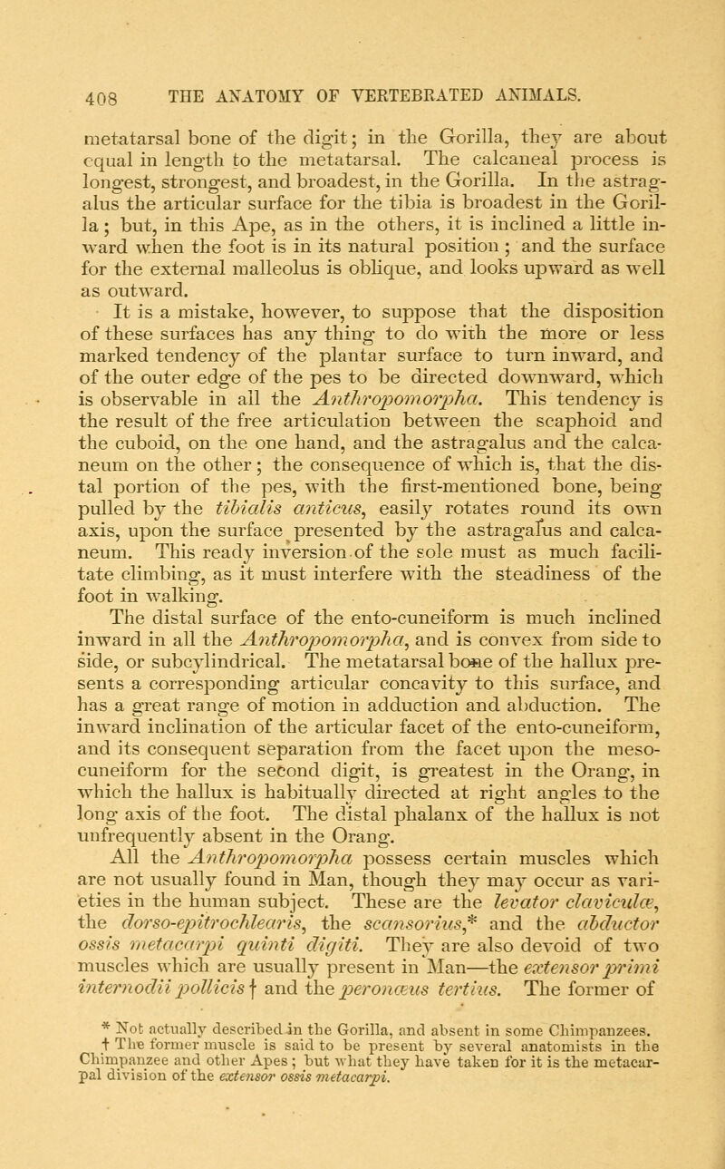 metatarsal bone of the digit; in the Gorilla, they are about equal in length to the metatarsal. The calcaneal jDrocess is longest, strongest, and broadest, in the Gorilla. In the astrag- alus the articular surface for the tibia is broadest in the Goril- la ; but, in this Ape, as in the others, it is inclined a little in- ward when the foot is in its natural position ; and the surface for the external malleolus is obhque, and looks upward as well as outward. It is a mistake, however, to suppose that the disposition of these surfaces has any thing to do with the more or less marked tendency of the plantar surface to turn inward, and of the outer edge of the pes to be directed downward, which is observable in all the Anthropomorpha. This tendencj^ is the result of the free articulation between the scaphoid and the cuboid, on the one hand, and the astragalus and the calca- neum on the other; the consequence of which is, that the dis- tal portion of the pes, with the first-mentioned bone, being pulled by the tibialis anticus^ easily rotates round its own axis, upon the surface presented by the astragafus and calca- neum. This ready inversion of the sole must as much facili- tate climbing, as it must interfere with the steadiness of the foot in walking. The distal surface of the ento-cuneiform is much inclined inward in all the Antliropomorplia^ and is convex from side to side, or subcylindrical. The metatarsal bo»e of the hallux pre- sents a corresponding articular concavity to this surface, and has a great range of motion in adduction and abduction. The inward inclination of the articular facet of the ento-cuneiform, and its consequent separation from the facet upon the meso- cuneiform for the second digit, is greatest in the Orang-, in which the hallux is habitually directed at right angles to the long axis of the foot. The distal phalanx of the hallux is not unfrequently absent in the Orang. All the Antliropomorpha possess certain muscles which are not usually found in Man, though they may occur as vari- eties in the human subject. These are the levator claviculce^ the clorso-epitrochlearis^ the scansoriiis* and the abductor ossis rnetacar2n quinti digiti. They are also deA^oid of two muscles which are usually present in Man—the extensor primi internodii pollicis \ and \X\q peroncBus tertlus. The former of * Not actually described in the Gorilla, and absent in some Chimpanzees, + The former muscle is said to be present by several anatomists in the Chimpanzee and other Apes ; but ^vhat they have taken for it is the metacar- pal division of the extensoi' ossis metacarpi.