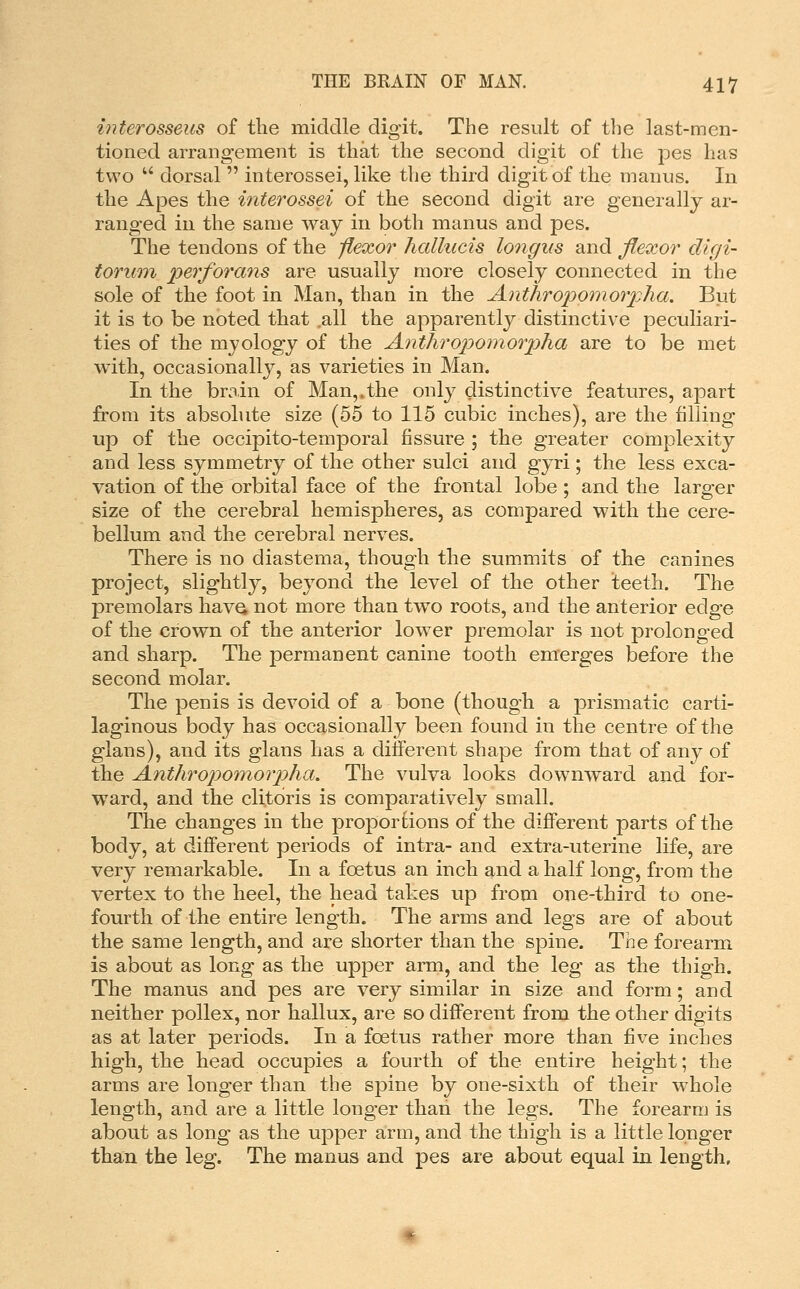 interosseus of the middle digit. The result of the last-men- tioned arrangement is that the second digit of the pes has two  dorsal  interossei, like the third digit of the manus. In the Apes the interossei of the second digit are generally ar- ranged in the same way in both manus and pes. The tendons of the flexor hallucis longus and flexor dlgi- torimi perforans are usually more closely connected in the sole of the foot in Man, than in the Anthropoinorplia. But it is to be noted that ,all the apparently distinctive peculiari- ties of the myology of the Anthropomoriyha are to be met with, occasionally, as varieties in Man. In the br.nin of Man,.the only distinctive features, apart from its absolute size (55 to 115 cubic inches), are the filling up of the occipito-temporal fissure ; the greater complexity and less symmetry of the other sulci and gyri; the less exca- vation of the orbital face of the frontal lobe ; and the larger size of the cerebral hemispheres, as compared with the cere- bellum and the cerebral nerves. There is no diastema, though the summits of the canines project, slightly, beyond the level of the other teeth. The premolars havQ not more than two roots, and the anterior edge of the crown of the anterior lower premolar is not prolonged and sharp. The permanent canine tooth emerges before the second molar. The penis is devoid of a bone (though a prismatic carti- laginous body has occasionally been found in the centre of the glans), and its glans has a different shape from that of any of the Anthropomorpha. The vulva looks downward and for- ward, and the clitoris is comparatively small. The changes in the proporEions of the different parts of the body, at different periods of intra- and extra-uterine life, are very remarkable. In a foetus an inch and a half long, from the vertex to the heel, the head takes up from one-third to one- fourth of the entire length. The arms and legs are of about the same length, and are shorter than the spine. The forearm is about as long as the upper arm, and the leg as the thigh. The manus and pes are very similar in size and form; and neither pollex, nor hallux, are so different from the other digits as at later periods. In a foetus rather more than five inches high, the head occupies a fourth of the entire height; the arms are longer than the spine by one-sixth of their whole length, and are a little longer than the legs. The forearm is about as long as the upper arm, and the thigh is a little longer than the leg. The manus and pes are about equal in length.