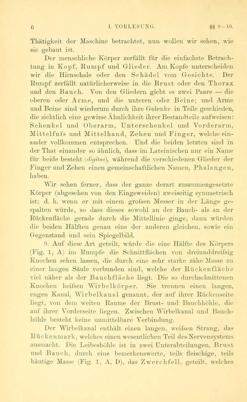 Tliätigkeit der Maschine betrachtet, nun wollen wir sehen, wie sie gebaut ist. Der menschliche Körper zerfällt für die einfachste Betrach- tung in Kopf, Rumpf und Glieder. Am Kopfe unterscheiden wir die Hirnschale oder den Schädel vom Gesichte. Der Rumpf zerfällt natürlicherweise in die Brust oder den Thorax und den Bauch. Von den Gliedern giebt es zwei Paare — die oberen oder Arme, und die unteren oder Beine; und Arme und Beine sind wiederum durch ihre Gelenke in Teile geschieden, die sichtlich eine gewisse Ähnlichkeit ihrer Bestandteile aufweisen: Schenkel und Oberarm, Unterschenkel und Vorderarm, Mittelfufs und Mittelhand, Zehen und Finger, welche ein- ander vollkommen entsprechen. Und die beiden letzten sind in der That einander so ähnlich, dass im Lateinischen nur ein Name für beide besteht (digitus), während die verschiedenen Glieder der Finger und Zehen einen gemeinschaftlichen Namen, Phalangen, haben. Wir sehen ferner, dass der ganze derart zusammengesetzte Körper (abgesehen von den Eingeweiden) zweiseitig symmetrisch ist; d. h. wenn er mit einem grofsen Messer in der Länge ge- spalten würde, so dass dieses sowohl an der Bauch- als an der Rückenfläche gerade durch die Mittellinie ginge, dann würden die beiden Hälften genau eine der anderen gleichen, sowie ein Gegenstand und sein Spiegelbild. 9. Auf diese Art geteilt, würde die eine Hälfte des Körpers (Fig. 1, A) im Rumpfe die Schnittflächen von dreiunddreifsig Knochen sehen lassen, die durch eine sehr starke zähe Masse zu einer langen Säule verbunden sind, welche der Rückenfläche viel näher als der Bauchfläche liegt. Die so durchschnittenen Knochen heifsen Wirbelkörper. Sie trennen einen langen, engen Kanal, Wirbelkanal genannt, der auf ihrer Rückenseite liegt, von dem weiten Räume der Brust- und Bauchhöhle, die auf ihrer Vorderseite liegen. Zwischen Wirbelkanal und Bauch- höhle besteht keine unmittelbare Verbindung. Der Wirbelkanal enthält einen langen, weifsen Strang, das Rückenmark, welches einen wesentlichen Teil des Nervensystems ausmacht. Die Leibeshöhle ist in zwei Unterabteilungen, Brusl und Bauch, durch eine bemerkenswerte, teils fleischige, teils häutige Masse (Fig. 1, A, D), das Zwerchfell, geteilt, welches