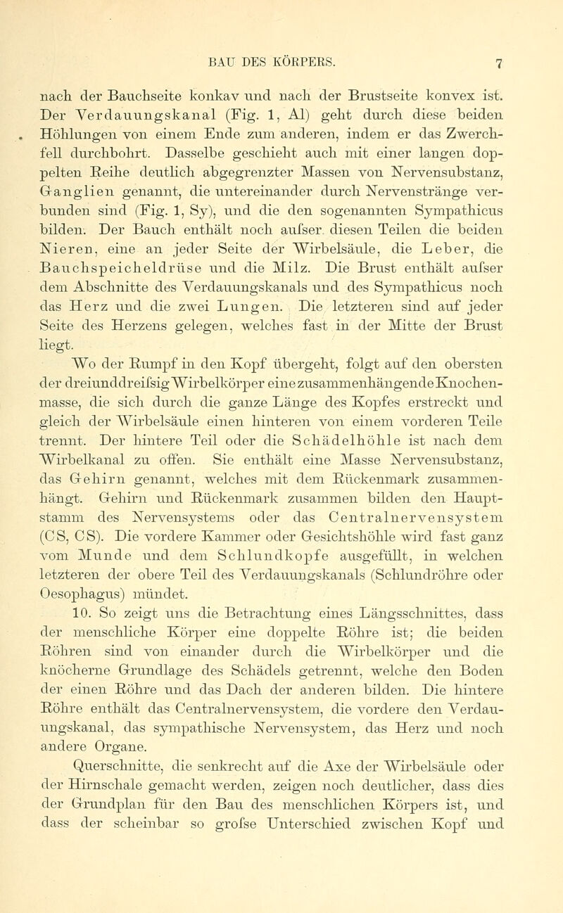 nach, der Bauchseite konkav und nach der Brustseite konvex ist. Der Verdauungskanal (Fig. 1, AI) geht durch diese beiden Höhlungen von einem Ende zum anderen, indem er das Zwerch- fell durchbohrt. Dasselbe geschieht auch mit einer langen dop- pelten Reihe deutlich abgegrenzter Massen von Nervensubstanz, Ganglien genannt, die untereinander durch Nervenstränge ver- bunden sind (Fig. 1, Sy), und die den sogenannten Sympathicus bilden. Der Bauch enthält noch aufser, diesen Teilen die beiden Nieren, eine an jeder Seite der Wirbelsäule, die Leber, die Bauchspeicheldrüse und die Milz. Die Brust enthält aufser dem Abschnitte des Verdauungskanals und des Sympathicus noch das Herz und die zwei Lungen. Die letzteren sind auf jeder Seite des Herzens gelegen, welches fast in der Mitte der Brust liegt. Wo der Rumpf in den Kopf übergeht, folgt auf den obersten der dreiunddreifsig Wirbelkörper eine zusammenhängende Knochen- masse, die sich durch die ganze Länge des Kopfes erstreckt und gleich der Wirbelsäule einen hinteren von einem vorderen Teile trennt. Der hintere Teil oder die Schädelhöhle ist nach dem Wirbelkanal zu offen. Sie enthält eine Masse Nervensubstanz, das Gehirn genannt, welches mit dem Rückenmark zusammen- hängt. Gehirn und Rückenmark zusammen bilden den Haupt- stamm des Nervensystems oder das Oentralnervensystem (CS, CS). Die vordere Kammer oder Gesichtshöhle wird fast ganz vom Munde und dem Schlundkopfe ausgefüllt, in welchen letzteren der obere Teil des Verdauungskanals (Schlundröhre oder Oesophagus) mündet. 10. So zeigt uns die Betrachtung eines Längsschnittes, dass der menschliche Körper eine doppelte Röhre ist; die beiden Röhren sind von einander durch die Wirbelkörper und die knöcherne Grundlage des Schädels getrennt, welche den Boden der einen Röhre und das Dach der anderen bilden. Die hintere Röhre enthält das Centrain er vensystem, die vordere den Verdau- ungskanal, das sympathische Nervensystem, das Herz und noch andere Organe. Querschnitte, die senkrecht auf die Axe der Wirbelsäule oder der Hirnschale gemacht werden, zeigen noch deutlicher, dass dies der Grundplan für den Bau des menschlichen Körpers ist, und dass der scheinbar so grofse Unterschied zwischen Kopf und