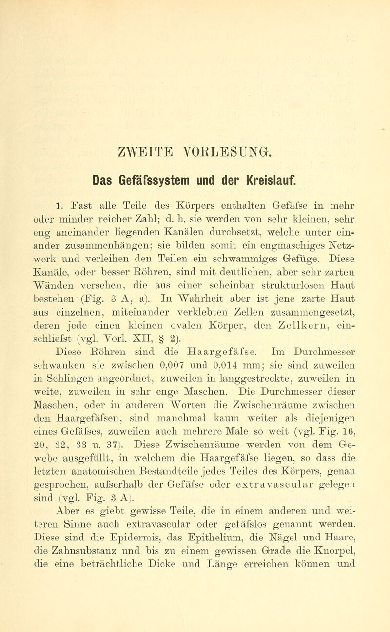 ZWEITE VORLESUNG. Das Gefäßsystem und der Kreislauf. 1. Fast alle Teile des Körpers enthalten Gefäfse in mehr oder minder reicher Zahl; d. h. sie werden von sehr kleinen, sehr eng aneinander liegenden Kanälen durchsetzt, welche unter ein- ander zusammenhängen; sie bilden somit ein engmaschiges Netz- werk und verleihen den Teilen ein schwammiges Gefüge. Diese Kanäle, oder besser Röhren, sind mit deutlichen, aber sehr zarten Wänden versehen, die aus einer scheinbar strukturlosen Haut bestehen (Fig. 3 A, a). In Wahrheit aber ist jene zarte Haut aus einzelnen, miteinander verklebten Zellen zusammengesetzt, deren jede einen kleinen ovalen Körper, den Zellkern, ein- schliefst (vgl. York XII, § 2). Diese Röhren sind die Haar gefäfse. Im Durchmesser schwanken sie zwischen 0,007 und 0,014 mm; sie sind zuweilen in Schlingen angeordnet, zuweilen in langgestreckte, zuweilen in weite, zuweilen in sehr enge Maschen. Die Durchmesser dieser Maschen, oder in anderen Worten die Zwischenräume zwischen den Haargefäfsen, sind manchmal kaum weiter als diejenigen eines Gefäfses, zuweilen auch mehrere Male so weit (vgl. Fig. 16, 20, 32, 33 u. 37). Diese Zwischenräume werden von dem Ge- webe ausgefüllt, in welchem die Haargefäfse liegen, so dass die letzten anatomischen Bestandteile jedes Teiles des Körpers, genau gesprochen, aufserhalb der Gefäfse oder extravascular gelegen sind (vgl. Fig. 3 A). Aber es giebt gewisse Teile, die in einem anderen und wei- teren Sinne auch extravascular oder gefäfslos genannt werden. Diese sind die Epidermis, das Epithelium, die Nägel und Haare, die Zahnsubstanz und bis zu einem gewissen Grade die Knorpel, die eine beträchtliche Dicke und Länge erreichen können und