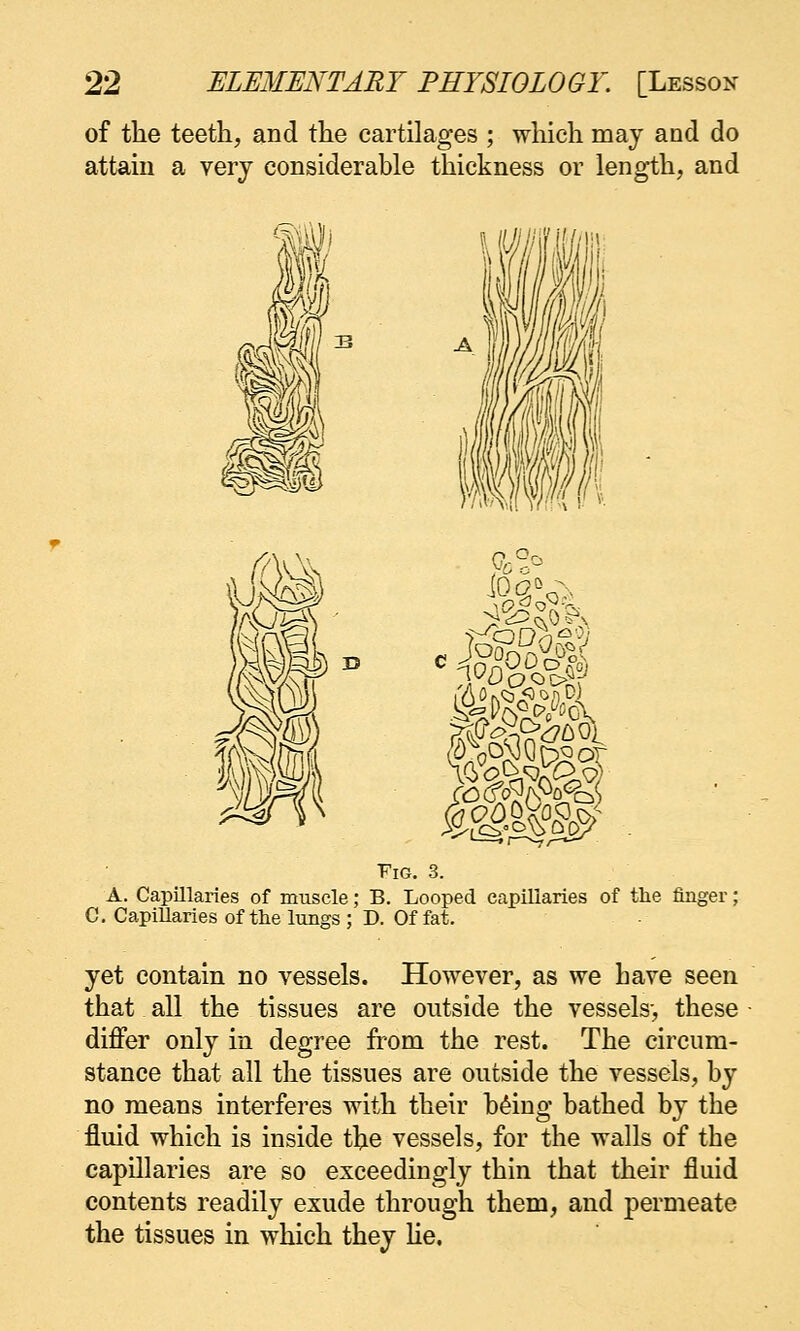 of tlie teeth, and the cartilages ; which may and do attain a very considerable thickness or length, and I Fig. 3. A. Capillaries of muscle; B. Looped capillaries of the finger; C, Capillaries of the lungs ; D. Of fat, yet contain no vessels. However, as we have seen that all the tissues are outside the vessels-, these differ only in degree from the rest. The circum- stance that all the tissues are outside the vessels, by no means interferes with their b^ing bathed by the fluid which is inside the vessels, for the walls of the capillaries are so exceedingly thin that their fluid contents readily exude through them, and permeate the tissues in which they lie.