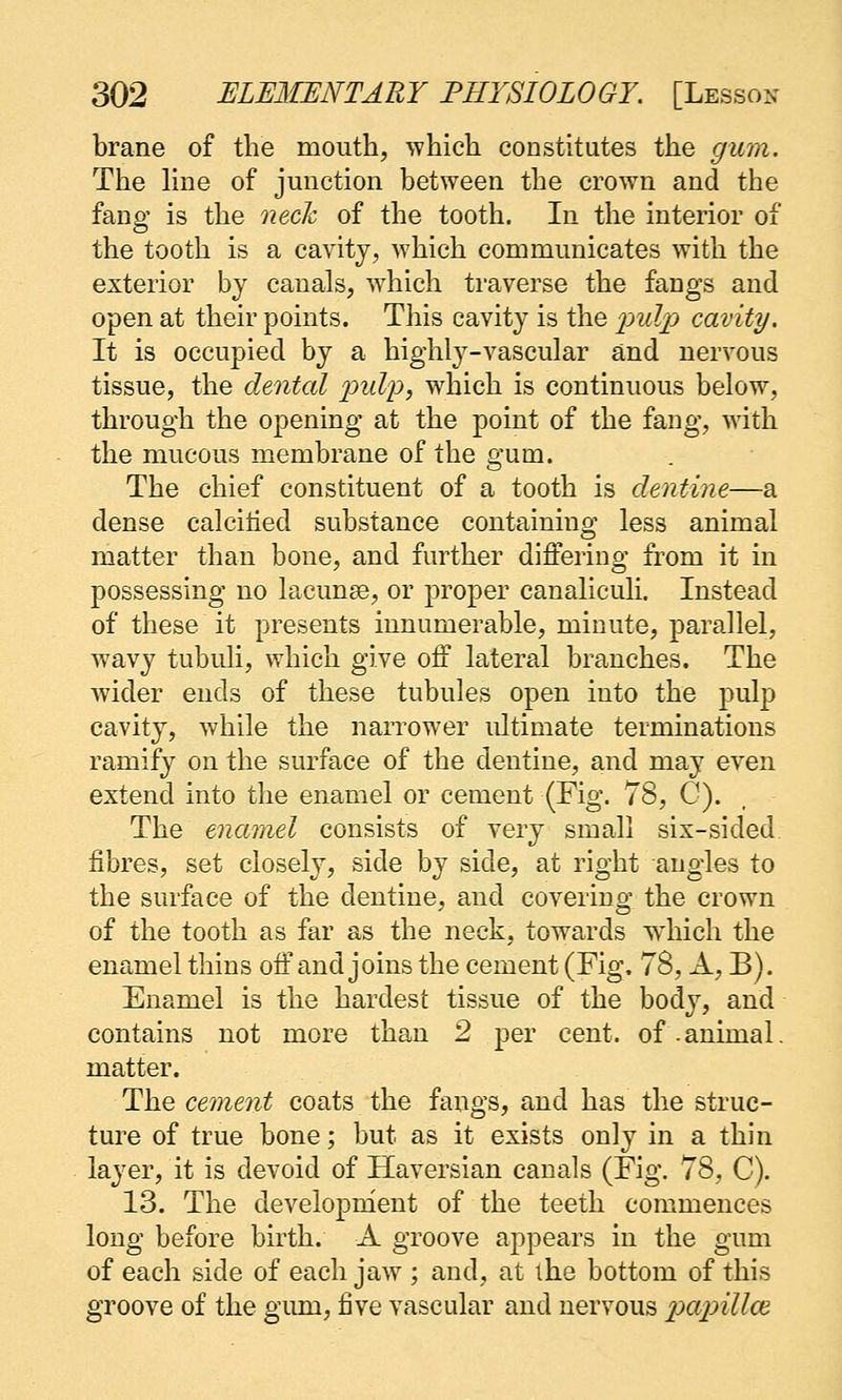 brane of the mouth, which constitutes the gum. The hne of junction between the crown and the fang is the neck of the tooth. In the interior of the tooth is a cavity, which communicates with the exterior by canals, which traverse the fangs and open at their points. This cavity is the 2^'^h^ cavity. It is occupied by a highly-vascular and nervous tissue, the debited 2^ulp, which is continuous below, through the opening at the point of the fang, with the mucous membrane of the gum. The chief constituent of a tooth is dentine—a dense calciiied substance containing less animal matter than bone, and further differing from it in possessing no lacunse, or proper canaliculi. Instead of these it presents innumerable, minute, parallel, Avavy tubuli, which give off lateral branches. The wider ends of these tubules open into the pul]) cavity, while the narrower ultimate terminations ramify on the surface of the dentine, and may even extend into the enamel or cement (Fig. 78, G). The enamel consists of very small six-sided, fibres, set closely, side by side, at right angles to the surface of the dentine, and covering the crown of the tooth as far as the neck, towards which the enamel thins off and joins the cement (Fig. 78, A, B). Enamel is the hardest tissue of the body, and contains not more than 2 per cent, of .animal, matter. The cement coats the fangs, and has the struc- ture of true bone; but as it exists only in a thin layer, it is devoid of Haversian canals (Fig. 78, C). 13. The development of the teeth commences long before birth. A groove appears in the gum of each side of each jaw ; and, at the bottom of this groove of the gimi, five vascular and nervous papilloe.