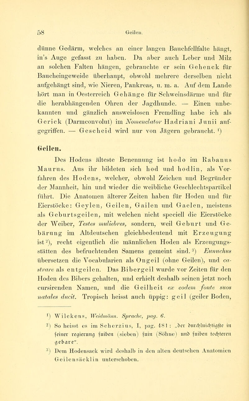 dünne Gedärm, welches an einer langen Bauchfellfalte hängt, in's Auge gefasst zu haben. Da aber auch Leber und j\Iilz an solchen Falten hängen, gebrauchte er sein Gehenck für Baucheingeweide überhaupt, obwohl mehrere derselben nicht aufgehängt sind, wie Nieren, Pankreas, u. m. a. Auf dem Lande hört man in Oesterreich Gehänge für Schweinsdärme und für die herabhängenden Ohren der Jagdhunde. — Einen unbe- kannten und gänzlich ausweislosen Fremdling habe ich als Gerick (Darmconvolut) im Nomenciator Hadriani Junii auf- gegriffen. — Gesell cid wird nur von Jägern gebraucht. ') Cfeileii. Des Hodens älteste Benennung ist hodo im Rabanus Maurus. Aus ihr bildeten sich hod und hodlin, als Vor- fahren des Hodens, Avelcher, obwohl Zeichen und Begründer der Mannheit, hin und wieder die weibliche Geschlechtspartikel führt. Die Anatomen älterer Zeiten haben für Hoden und für Eierstöcke: Geylen, Geilen, Gailen und Gaelen, meistens als Geburtsgeilen, mit welchen nicht speciell die Eierstöcke der Weiber, Testes muliebres, sondern, weil Geburt und Ge- bärung im Altdeutschen gleichbedeutend mit Erzeugung ist '^), recht eigentlich die männlichen Hoden als Erzeugungs- stätten des befruchtenden Samens gemeint sind. ^) Eumcchus übersetzen die Vocabularien als Ongeil (ohne Geilen), und ca- strare als entgeilen. Das Bibergeil wurde vor Zeiten für den Hoden des Bibers gehalten, und erhielt deshalb seinen jetzt noch cursirenden Namen, und die Geilheit ex eodem fönte suos natales diicit. Tropisch heisst auch üppig: geil (geiler Boden, ^) Wilckens, Weidmann. Sprache, j:»a^. 6. '^) So heisst es im Scherzius, I, pag. 481 : „bcr burcbhücbtiafti.^ in feiner regierung fuiben (sieben) fuin (Söhne) nnb fuibcn tod^tcrcn gebare. ^) Dem Hodensack wird deshalb in den allen deutschen Anatomien Geilensäcklin unterschoben.