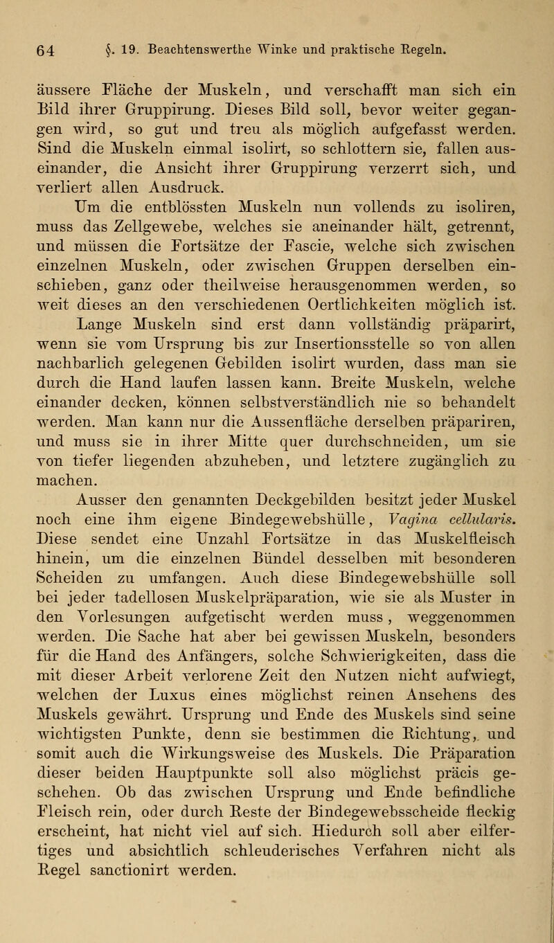 äussere Fläclie der Muskeln, und verschafft man sich ein Eild ihrer Gruppirung. Dieses Bild soll^ bevor weiter gegan- gen wird, so gut und treu als möglich aufgefasst werden. Sind die Muskeln einmal isolirt, so schlottern sie, fallen aus- einander, die Ansicht ihrer Gruppirung verzerrt sich, und verliert allen Ausdruck. Um die entblössten Muskeln nun vollends zu isoliren, muss das Zellgewebe, welches sie aneinander hält, getrennt, und müssen die Portsätze der Fascie, welche sich zwischen einzelnen Muskeln, oder zwischen Gruppen derselben ein- schieben, ganz oder theilweise herausgenommen werden, so weit dieses an den verschiedenen Oertlichkeiten möglich ist. Lange Muskeln sind erst dann vollständig präparirt, wenn sie vom Ursprung bis zur Insertionsstelle so von allen nachbarlich gelegenen Gebilden isolirt wurden, dass man sie durch die Hand laufen lassen kann. Breite Muskeln, welche einander decken, können selbstverständlich nie so behandelt werden. Man kann nur die Aussenfiäche derselben präpariren, und muss sie in ihrer Mitte quer durchschneiden, um sie von tiefer liegenden abzuheben, und letztere zugänglich zu machen. Ausser den genannten Deckgebilden besitzt jeder Muskel noch eine ihm eigene Bindegewebshülle, Vagina cellulai^is. Diese sendet eine Unzahl Fortsätze in das Muskelfleisch hinein, um die einzelnen Bündel desselben mit besonderen Scheiden zu umfangen. Auch diese Bindegewebshülle soll bei jeder tadellosen Muskelpräparation, wie sie als Muster in den Vorlesungen aufgetischt werden muss, weggenommen werden. Die Sache hat aber bei gewissen Muskeln, besonders für die Hand des Anfängers, solche Schwierigkeiten, dass die mit dieser Arbeit verlorene Zeit den Nutzen nicht aufwiegt, welchen der Luxus eines möglichst reinen Ansehens des Muskels gewährt. Ursprung und Ende des Muskels sind seine wichtigsten Punkte, denn sie bestimmen die Richtung,, und somit auch die Wirkungsweise des Muskels. Die Präparation dieser beiden Hauptpunkte soll also möglichst präcis ge- schehen. Ob das zwischen Ursprung und Ende befindliche Fleisch rein, oder durch Reste der Bindegewebsscheide Üeckig erscheint, hat nicht viel auf sich. Hiedurch soll aber eilfer- tiges und absichtlich schleuderisches Verfahren nicht als Regel sanctionirt werden.