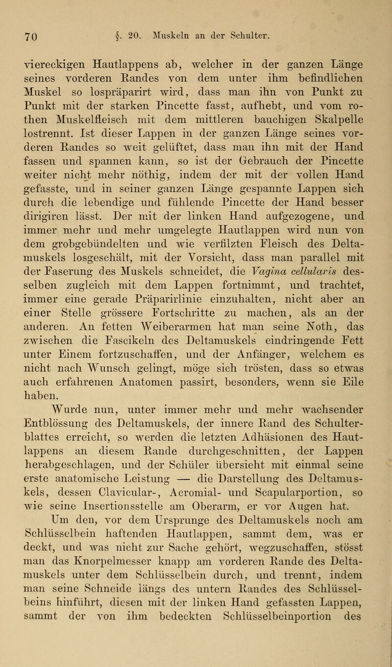 viereckigen Hautlappens ab, welcher in der ganzen Länge seines vorderen Eandes von dem unter ihm befindlichen Muskel so lospräparirt wird, dass man ihn von Punkt zu Punkt mit der starken Pincette fasst, aufhebt, und vom ro- then Muskelfleisch mit dem mittleren bauchigen Skalpelle lostrennt. Ist dieser Lappen in der ganzen Länge seines vor- deren Randes so weit gelüftet, dass man ihn mit der Hand fassen und spannen kann, so ist der Gebrauch der Pincette weiter nicht mehr nöthig, indem der mit der vollen Hand gefasste, und in seiner ganzen Länge gespannte Lappen sich durch die lebendige und fühlende Pincette der Hand besser dirigiren lässt. Der mit der linken Hand aufgezogene, und immer mehr und mehr umgelegte Hautlappen wird nun von dem grobgebündelten und wie verfilzten Fleisch des Delta- muskels losgeschält, mit der Vorsicht, dass man parallel mit der Easerung des Muskels schneidet, die Vagina cellularis des- selben zugleich mit dem Lappen fortnimmt, und trachtet, immer eine gerade Präparirlinie einzuhalten, nicht aber an einer Stelle grössere Fortschritte zu machen, als an der anderen. An fetten Weiberarmen hat man seine Noth, das zwischen die Fascikeln des Deltamuskels eindringende Fett unter Einem fortzuschafi'en, und der Anfänger, welchem es nicht nach Wunsch gelingt, möge sich trösten, dass so etwas auch erfahrenen Anatomen passirt, besonders, wenn sie Eile haben. Wurde nun, unter immer mehr und mehr wachsender Entblössung des Deltamuskels, der innere Pand des Schulter- blattes erreicht, so werden die letzten Adhäsionen des Haut- lappens an diesem Rande durchgeschnitten, der Lappen herabgeschlagen, und der Schüler übersieht mit einmal seine erste anatomische Leistung — die Darstellung des Deltamus- kels, dessen Clavicular-, Acromial- und Scapularportion, so wie seine Insertionsstelle am Oberarm, er vor Augen hat. Um den, vor dem Ursprünge des Deltamuskels noch am Schlüsselbein haftenden Hauthippen, sammt dem, was er deckt, und was nicht zur Sache gehört, wegzuschaffen, stösst man das Knorpelmesser knapp am vorderen Rande des Delta- muskels unter dem Schlüsselbein durch, und trennt, indem man seine Schneide längs des untern Randes des Schlüssel- beins hinführt, diesen mit der linken Hand gefassten Lappen, sammt der von ihm bedeckten Schlüsselbeinportion des