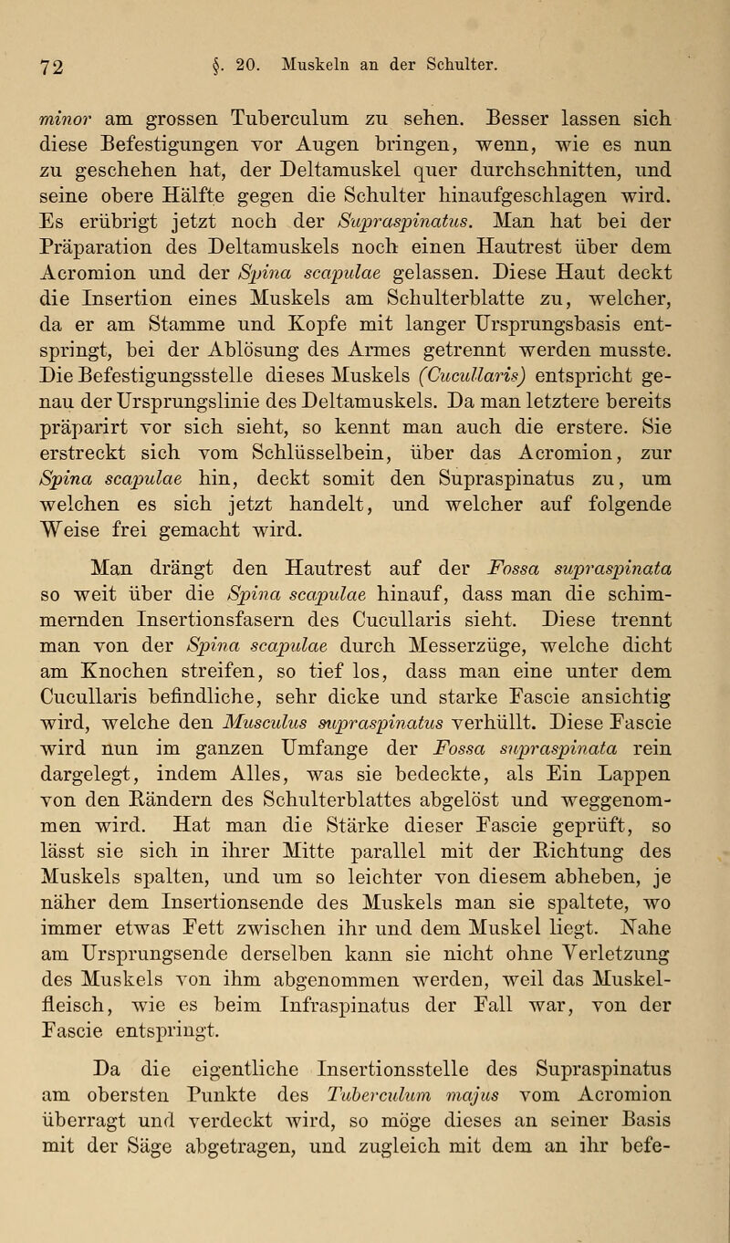 minor am grossen Tuberculum zu sehen. Besser lassen sich diese Befestigungen vor Augen bringen, wenn, wie es nun zu geschehen hat, der Deltamuskel quer durchschnitten, und seine obere Hälfte gegen die Schulter hinaufgeschlagen wird. Es erübrigt jetzt noch der Supraspinatus. Man hat bei der Präparation des Deltamuskels noch einen Hautrest über dem Acromion und der Spina scapulae gelassen. Diese Haut deckt die Insertion eines Muskels am Schulterblatte zu, welcher, da er am Stamme und Kopfe mit langer Ursprungsbasis ent- springt, bei der Ablösung des Armes getrennt werden musste. Die Befestigungsstelle dieses Muskels (Cucullaris) entspricht ge- nau der Ursprungslinie des Deltamuskels. Da man letztere bereits präparirt vor sich sieht, so kennt man auch die erstere. Sie erstreckt sich vom Schlüsselbein, über das Acromion, zur Spina scapulae hin, deckt somit den Supraspinatus zu, um welchen es sich jetzt handelt, und welcher auf folgende Weise frei gemacht wird. Man drängt den Hautrest auf der Fossa supraspinata so weit über die Spina scapulae hinauf, dass man die schim- mernden Insertionsfasern des Cucullaris sieht. Diese trennt man von der Spina scapulae durch Messerzüge, welche dicht am Knochen streifen, so tief los, dass man eine unter dem Cucullaris befindliche, sehr dicke und starke Fascie ansichtig wird, welche den Musculus supraspinatus verhüllt. Diese Fascie wird nun im ganzen Umfange der Fossa supraspinata rein dargelegt, indem Alles, was sie bedeckte, als Ein Lappen von den Rändern des Schulterblattes abgelöst und weggenom- men wird. Hat man die Stärke dieser Eascie geprüft, so lässt sie sich in ihrer Mitte parallel mit der Richtung des Muskels spalten, und um so leichter von diesem abheben, je näher dem Insertionsende des Muskels man sie spaltete, wo immer etwas Eett zwischen ihr und dem Muskel liegt. I^ahe am Ursprungsende derselben kann sie nicht ohne Verletzung des Muskels von ihm abgenommen werden, weil das Muskel- fleisch, wie es beim Infraspinatus der Fall war, von der Fascie entspringt. Da die eigentliche Insertionsstelle des Supraspinatus am obersten Punkte des Tuberculum niajus vom Acromion überragt und verdeckt wird, so möge dieses an seiner Basis mit der Säge abgetragen, und zugleich mit dem an ihr befe-