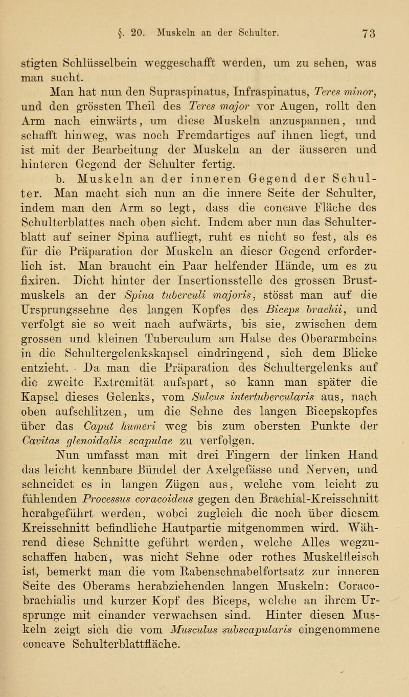 stigten Schlüsselbein weggeschafft werden, um zu sehen, was man sucht. Man hat nun den 8upraspinatus, Infraspinatus, Teres mirior, und den grössten Theil des Teres major vor Augen, rollt den Arm nach einwärts, um diese Muskeln anzuspannen, und schafft hinweg, was noch Fremdartiges auf ihnen liegt, und ist mit der Bearbeitung der Muskeln an der äusseren und hinteren Gegend der Schulter fertig. b. Muskeln an der inneren Gegend der Schul- ter. Man macht sich nun an die innere Seite der Schulter, indem man den Arm so legt, dass die concave Fläche des Schulterblattes nach oben sieht. Indem aber nun das Schulter- blatt auf seiner Spina aufliegt, ruht es nicht so fest, als es für die Präparation der Muskeln an dieser Gegend erforder- lich ist. Man braucht ein Paar helfender Hände, um es zu fixiren. Dicht hinter der Insertionsstelle des grossen Brust- muskels an der Spina tuberculi majoris, stösst man auf die IJrsprungssehne des langen Kopfes des Biceps bracJni, und verfolgt sie so weit nach aufwärts, bis sie, zwischen dem grossen und kleinen Tuberculum am Halse des Oberarmbeins in die Schultergelenkskapsel eindringend, sich dem Blicke entzieht. Da man die Präparation des Schultergelenks auf die zweite Extremität aufspart, so kann man später die Kapsel dieses Gelenks, vom Sulcus intertubercularis aus, nach oben aufschlitzen, um die Sehne des langen Bicepskopfes über das Caput humeri weg bis zum obersten Punkte der Cavitas glenoidalis scapulae zu verfolgen. ISTun umfasst man mit drei Fingern der linken Hand das leicht kennbare Bündel der Axelgefässe und Xerven, und schneidet es in langen Zügen aus, welche vom leicht zu fühlenden Processus coracoideus gegen den Brachial-Kreisschnitt herabgeführt werden, wobei zugleich die noch über diesem Kreisschnitt befindliche Hautpartie mitgenommen wird. Wäh- rend diese Schnitte geführt werden, welche Alles wegzu- schaffen haben, was nicht Sehne oder rothes Muskelfleisch ist, bemerkt man die vom Eabenschnabelfortsatz zur inneren Seite des Oberams herabziehenden langen Muskeln: Coraco- brachialis und kurzer Kopf des Biceps, welche an ihrem Ur- sprünge mit einander verwachsen sind. Hinter diesen Mus- keln zeigt sich die vom Musculus suhscapularis eingenommene concave Schulterblattfläche.