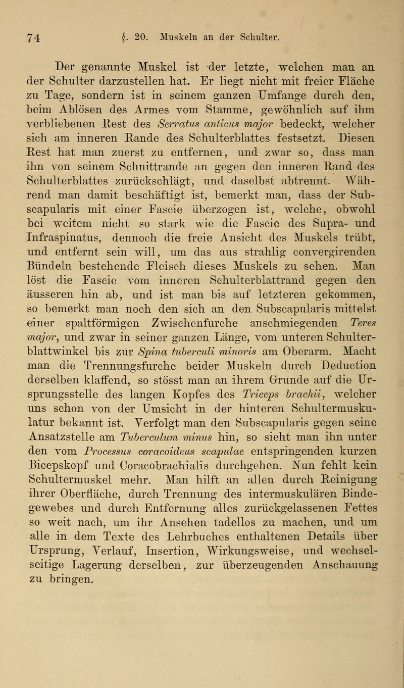 Der genannte Muskel ist der letzte, welchen man an der Schulter darzustellen hat. Er liegt nicht mit freier Fläche zu Tage, sondern ist in seinem ganzen Umfange durch den, beim Ablösen des Armes vom Stamme, gewöhnlich auf ihm verbliebenen Eest des Serratus antlcas major bedeckt, welcher sich am inneren Rande des Schulterblattes festsetzt. Diesen Eest hat man zuerst zu entfernen, und zwar so, dass man ihn von seinem Schnittrande an gegen den inneren Eand des Schulterblattes zurückschlägt, und daselbst abtrennt. Wäh- rend man damit beschäftigt ist, bemerkt man, dass der Sub- scapularis mit einer Eascie überzogen ist, welche, obwohl bei weitem nicht so stark wie die Eascie des Supra- und Infraspinatus, dennoch die freie Ansicht des Muskels trübt, und entfernt sein will, um das aus strahlig convergirenden Bündeln bestehende Fleisch dieses Muskels zu sehen. Man löst die Fascie vom inneren Schulterblattrand gegen den äusseren hin ab, und ist man bis auf letzteren gekommen, so bemerkt man noch den sich an den Subscapularis mittelst einer spaltförmigen Zwischenfurche anschmiegenden Teres major, und zwar in seiner ganzen Länge, vom unteren Schulter- blattwinkel bis zur Spina tuberculi minoris am Oberarm. Macht man die Trennungsfurche beider Muskeln durch Deduction derselben klaffend, so stösst man an ihrem Grunde auf die Ur- sprungsstelle des langen Kopfes des Triceps brachii, welcher uns schon von der Umsicht in der hinteren Schultermusku- latur bekannt ist. Verfolgt man den Subscapularis gegen seine Ansatzstelle am Tuherculum minus hin, so sieht man ihn unter den vom Processus coracoideus scapidae entspringenden kurzen Bicepskopf und Coracobrachialis durchgehen. jSTun fehlt kein Schultermuskel mehr. Man hilft an allen durch Reinigung ihrer Oberfläche, durch Trennung des intermuskulären Binde- gewebes und durch Entfernung alles zurückgelassenen Fettes so weit nach, um ihr Ansehen tadellos zu machen, und um alle in dem Texte des Lehrbuches enthaltenen Details über Ursprung, Verlauf, Insertion, Wirkungsweise, und wechsel- seitige Lagerung derselben, zur überzeugenden Anschauung zu bringen.