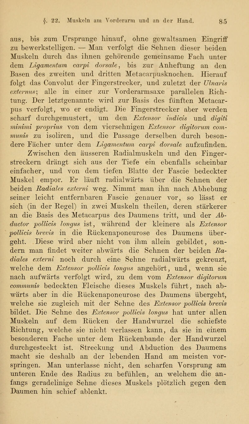 aus, bis zum Ursprünge hinauf, ohne gewaltsamen Eingriff zu bewerkstelligen. — Man verfolgt die Sehnen dieser beiden Muskeln durch das ihnen gehörende gemeinsame Fach unter dem Ligamentum carpi dorsale, bis zur Anheftung an den Basen des zweiten und dritten Metacarpusknochen. Hierauf folgt das Convolut der Fingerstrecker, und zuletzt der Ulnaris externus-^ alle in einer zur Yorderarmsaxe parallelen Rich- tung. Der letztgenannte wird zur Basis des fünften Metacar- pus verfolgt, wo er endigt. Die Fingerstrecker aber werden scharf durchgemustert, um den Extensor indicis und digiti minimi proprius von dem viersehnigen Extensor digitorum com- munis zu isoliren, und die Passage derselben durch beson- dere Fächer unter dem Ligamentum carpi dorsale aufzufinden. Zwischen den äusseren Eadialmuskeln und den Finger- streckern drängt sich aus der Tiefe ein ebenfalls scheinbar einfacher, und von dem tiefen Blatte der Fascie bedeckter Muskel empor. Er läuft radialwärts über die Sehnen der beiden Radiales externi weg. Mmmt man ihn nach Abhebung seiner leicht entfernbaren Fascie genauer vor, so lässt er sich (in der Regel) in zwei Muskeln theilen, deren stärkerer an die Basis des Metacarpus des Daumens tritt, und der Ah- ductor pollicis longus ist, während der kleinere als Extensor poUicis brevis in die Rückenaponeurose des Daumens über- geht. Diese wird aber nicht von ihm allein gebildet, son- dern man findet weiter abwärts die Sehnen der beiden i2a- diales externi noch durch eine Sehne radialwärts gekreuzt, welche dem Extensor j^ollicis longus angehört, und, wenn sie nach aufwärts verfolgt wird, zu dem vom Extensor digitorum communis bedeckten Fleische dieses Muskels führt, nach ab- wärts aber in die Rückenaponeurose des Daumens übergeht, welche sie zugleich mit der Sehne des Extensor pollicis brevis bildet. Die Sehne des Extensor pollicis longus hat unter allen Muskeln auf dem Rücken der Handwurzel die schiefste Richtung, welche sie nicht verlassen kann, da sie in einem besonderen Fache unter dem Rückenbande der Handwurzel durchgesteckt ist. Streckung und Abduction des Daumens macht sie deshalb an der lebenden Hand am meisten vor- springen. Man unterlasse nicht, den scharfen Yorsprung am unteren Ende des Radius zu befühlen, an welchem die an- fangs geradelinige Sehne dieses Muskels plötzlich gegen den Daumen hin schief ablenkt.