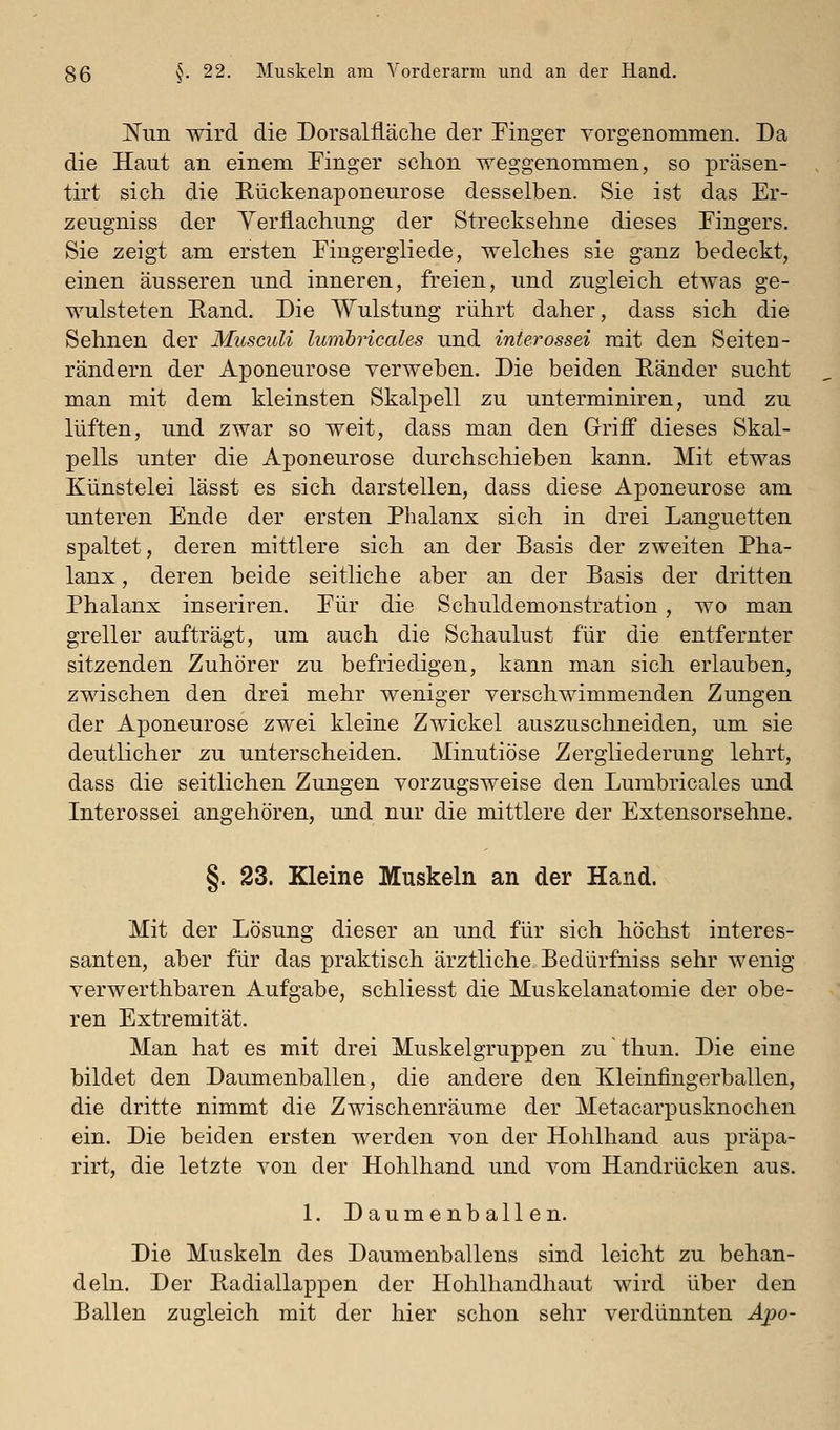 IS'un wird die Dorsalfläche der Tinger yorgenommen. Da die Haut an einem Einger schon weggenommen, so präsen- tirt sich die Eückenaponeurose desselben. Sie ist das Er- zeugniss der Yeriiachung der Strecksehne dieses Eingers. Sie zeigt am ersten Fingergiiede, welches sie ganz bedeckt, einen äusseren und inneren, freien, und zugleich etwas ge- wulsteten Eand. Die Wulstung rührt daher, dass sich die Sehnen der Musculi lumhricales und inierossei mit den Seiten- rändern der Aponeurose verweben. Die beiden Eänder sucht man mit dem kleinsten Skalpell zu unterminiren, und zu lüften, und zwar so weit, dass man den Griff dieses Skal- pells unter die Aponeurose durchschieben kann. Mit etwas Künstelei lässt es sich darstellen, dass diese Aponeurose am unteren Ende der ersten Phalanx sich in drei Languetten spaltet, deren mittlere sich an der Basis der zweiten Pha- lanx , deren beide seitliche aber an der Basis der dritten Phalanx inseriren. Eür die Schuldemonstration, wo man greller aufträgt, um auch die Schaulust für die entfernter sitzenden Zuhörer zu befriedigen, kann man sich erlauben, zwischen den drei mehr weniger verschwimmenden Zungen der Aponeurose zwei kleine Zwickel auszuschneiden, um sie deutlicher zu unterscheiden. Minutiöse Zergliederung lehrt, dass die seitlichen Zungen vorzugsweise den Lumbricales und Interossei angehören, und nur die mittlere der Extensorsehne. §. 23. Kleine Muskeln an der Hand. Mit der Lösung dieser an und für sich höchst interes- santen, aber für das praktisch ärztliche Bedürfniss sehr wenig verwerthbaren Aufgabe, schliesst die Muskelanatomie der obe- ren Extremität. Man hat es mit drei Muskelgruppen zuthun. Die eine bildet den Daumenballen, die andere den Kleinfingerballen, die dritte nimmt die Zwischenräume der Metacarpusknochen ein. Die beiden ersten werden von der Hohlhand aus präpa- rirt, die letzte von der Hohlhand und vom Handrücken aus. 1. Daumenballen. Die Muskeln des Daumenballens sind leicht zu behan- deln. Der Padiallappen der Hohlhandhaut wird über den Ballen zugleich mit der hier schon sehr verdünnten Apo-