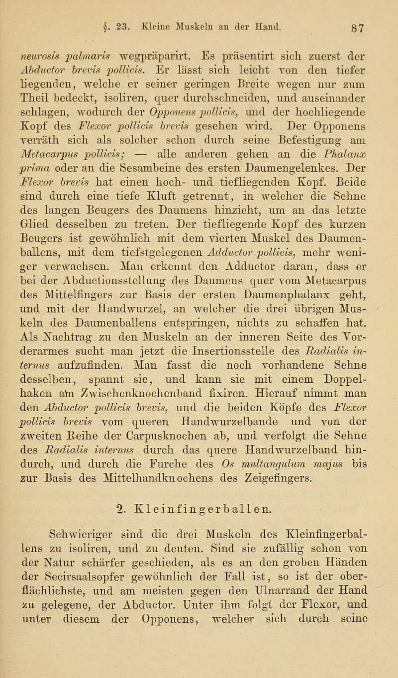 neiirosis palmaris wegpräparirt. Es präsentirt sich zuerst der Abducfor brevis pollicis. Er lässt sich leicht A^on den tiefer liegenden, welche er seiner geringen Breite wegen nur zum Theil bedeckt, isoliren, quer durchschneiden, und auseinander schlagen, Avodurch der Oppoiiens pollicis, und der hochliegende Kopf des Flexor pollicis brevis gesehen wird. Der Opponens verräth sich als solcher schon durch seine Befestigung am Metacarpits pollicis; — alle anderen gehen an die Phalanx prima oder an die Sesambeine des ersten Daumengelenkes. Der Flexor brevis hat einen hoch- und tiefliegenden Kopf. Beide sind durch eine tiefe Kluft getrennt, in welcher die Sehne des langen Beugers des Daumens hinzieht, um an das letzte Glied desselben zu treten. Der tiefliegende Kopf des kurzen Beugers ist gewöhnlich mit dem vierten Muskel des Daumen- ballens, mit dem tiefstgelegenen Adductor pollicis, mehr weni- ger verwachsen. Man erkennt den Adductor daran, dass er bei der Abductionsstellung des Daumens quer vom Metacarpus des Mittelfingers zur Basis der ersten Daumenphalanx geht, und mit der Handwurzel, an welcher die drei übrigen Mus- keln des Daumenballens entspringen, nichts zu schaffen hat. Als jSTachtrag zu den Muskeln an der inneren Seite des Vor- derarmes sucht man jetzt die Insertionsstelle des Radialis iri- ternus aufzufinden. Man fasst die noch vorhandene Sehne desselben, spannt sie, und kann sie mit einem Doppel- haken ain Zwischenknochenband fixiren. Hierauf nimmt man den Äbductor pollicis brevis, und die beiden Köpfe des Flexor pollicis brevis vom queren Handwurzelbande und von der zweiten Reihe der Carpusknochen ab, und verfolgt die Sehne des Radialis internus durch das quere Handwurzelband hin- durch, und durch die Eurche des Os muüangulum majus bis zur Basis des Mittelhandknochens des Zeigefingers. 2. Kleinf ingerball en. Schwieriger sind die drei Muskeln des Kleinfingerbal- lens zu isoliren, und zu deuten. Sind sie zufällig schon von der jSTatur schärfer geschieden, als es an den groben Händen der Secirsaalsopfer gewöhnlich der Eall ist, so ist der ober- flächlichste, und am meisten gegen den Ulnarrand der Hand zu gelegene, der Äbductor. Unter ihm folgt der Elexor, und unter diesem der Opponens, welcher sich durch seine