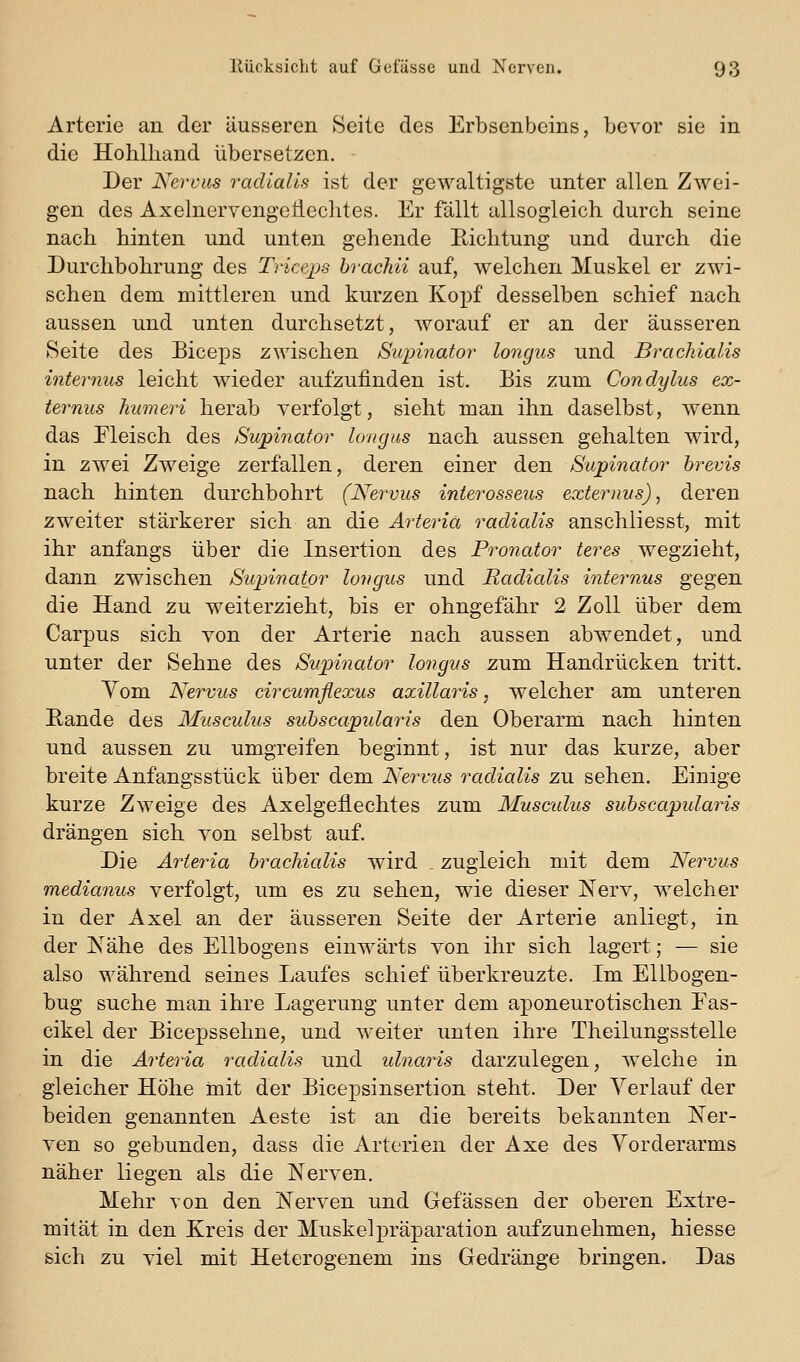 Arterie an der äusseren Seite des Erbsenbeins, bevor sie in die Hohlliand übersetzen. Der Nervus radialis ist der gewaltigste unter allen Zwei- gen des Axelnervengetlechtes. Er fällt allsogleich durch seine nach hinten und unten gehende Richtung und durch die Durchbohrung des Triceps brachii auf, welchen Muskel er zwi- schen dem mittleren und kurzen Kopf desselben schief nach aussen und unten durchsetzt, worauf er an der äusseren Seite des Biceps zwischen Supinator longus und Brachialis internus leicht wieder aufzufinden ist. Bis zum Condylus ex- ternus humeri herab verfolgt, sieht man ihn daselbst, wenn das Fleisch des Supinator lougas nach aussen gehalten wird, in zwei Zweige zerfallen, deren einer den Supinator hrevis nach hinten durchbohrt (Nervus interosseus externvs), deren zweiter stärkerer sich an die Arteria radialis anschliesst, mit ihr anfangs über die Insertion des Pronator teres wegzieht, dann zwischen Supinator longus und Radialis internus gegen die Hand zu weiterzieht, bis er ohngefähr 2 Zoll über dem Carpus sich von der Arterie nach aussen abwendet, und unter der Sehne des Supinator longus zum Handrücken tritt. Yom Nervus circumflexus axillaris, welcher am unteren Eande des Musculus subscapidaris den Oberarm nach hinten und aussen zu umgreifen beginnt, ist nur das kurze, aber breite Anfangsstück über dem Nervus radialis zu sehen. Einige kurze Zweige des Axelgeflechtes zum Musmlus subscapidaris drängen sich von selbst auf. Die Arteria brachialis wird . zugleich mit dem Nervus medianus verfolgt, um es zu sehen, wie dieser Nerv, welcher in der Axel an der äusseren Seite der Arterie anliegt, in der ]N^ähe des Ellbogens einwärts von ihr sich lagert; — sie also während seines Laufes schief überkreuzte. Im Elibogen- bug suche man ihre Lagerung unter dem aponeurotischen Fas- cikel der Bicepssehne, und weiter unten ihre Theilungsstelle in die Arteria radialis und idnaris darzulegen, welche in gleicher Höhe init der Bicepsinsertion steht. Der Verlauf der beiden genannten Aeste ist an die bereits bekannten Ner- ven so gebunden, dass die Arterien der Axe des Vorderarms näher liegen als die Nerven, Mehr von den Nerven und Gefässen der oberen Extre- mität in den Kreis der Muskelpräparation aufzunehmen, hiesse sich zu viel mit Heterogenem ins Gedränge bringen. Das