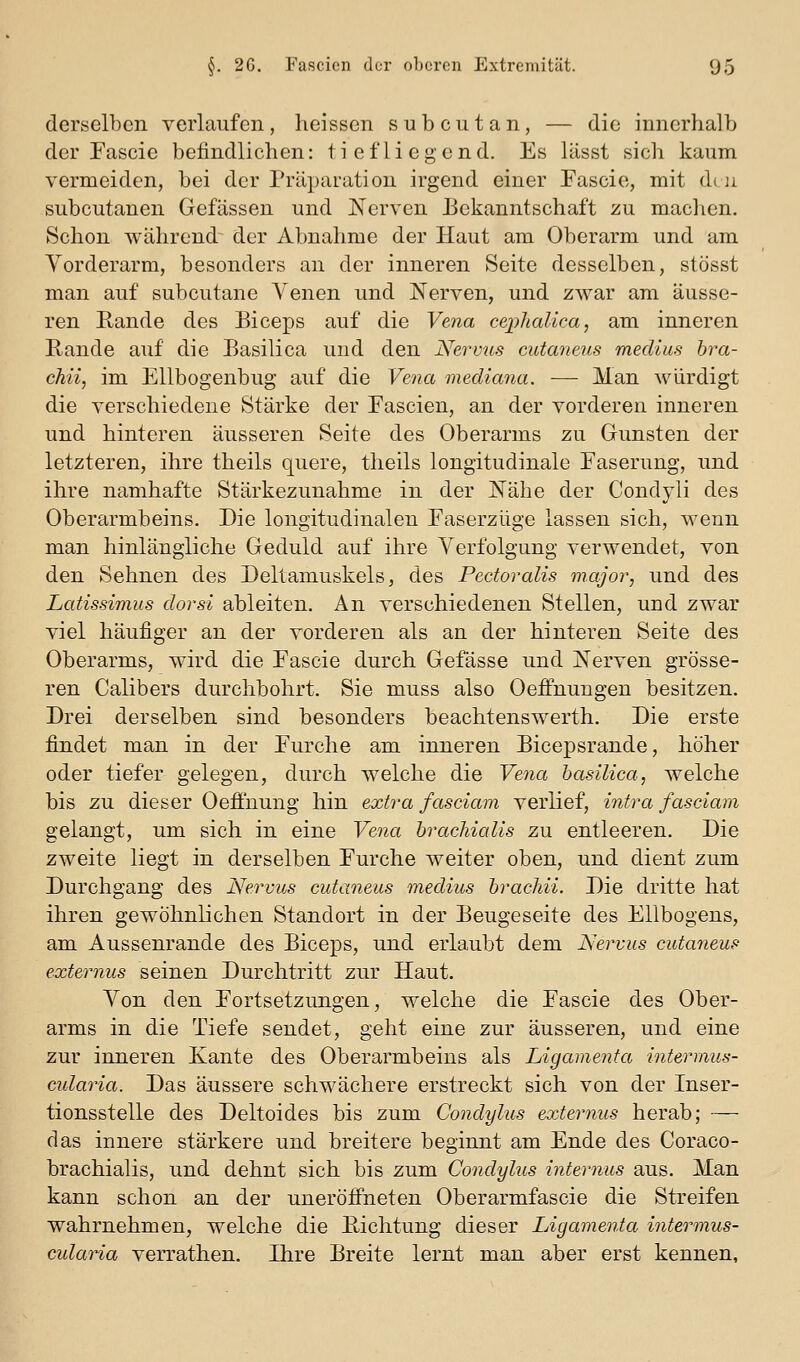 derselben verlaufen, heisscn subcutan, — die innerhalb der Fascie befindlichen: tiefliegend. Es lässt sich kaum vermeiden, bei der Präparation irgend einer Fascie, mit diu subcutanen Gefässen und Nerven Bekanntschaft zu maclien. Schon während der Abnahme der Haut am Oberarm und am Vorderarm, besonders an der inneren Seite desselben, stösst man auf subcutane Venen und Nerven, und zwar am äusse- ren Eande des Biceps auf die Vena cej^halica, am inneren Rande auf die Basilica und den Nervus cutaneus meclius hra- chii, im Ellbogenbug auf die Vena mediana. — Man würdigt die verschiedene Stärke der Eascien, an der vorderen inneren und hinteren äusseren Seite des Oberarms zu Gunsten der letzteren, ihre theils quere, tlieils longitudinale Easerung, und ihre namhafte Stärkezunahme in der Nähe der Condyli des Oberarmbeins. Die longitudinalen Easerzüge lassen sich, wenn man hinlängliche Geduld auf ihre Verfolgung verwendet, von den Sehnen des Deltamuskels, des Pectoralis major, und des Latissimiis dorsi ableiten. An verschiedenen Stellen, und zwar viel häufiger an der vorderen als an der hinteren Seite des Oberarms, wird die Eascie durch Gefässe und Nerven grösse- ren Calibers durchbohrt. Sie muss also Oeffnungen besitzen. Drei derselben sind besonders beachtenswerth. Die erste findet man in der Eurche am inneren Bicepsrande, höher oder tiefer gelegen, durch welche die Vena basilica, welche bis zu dieser Oeflhung hin extra fasciam. verlief, intra fasciam gelangt, um sich in eine Vena hrachialis zu entleeren. Die zweite liegt in derselben Eurche weiter oben, und dient zum Durchgang des Nervus cutaneus medius brachii. Die dritte hat ihren gewöhnlichen Standort in der Beugeseite des Ellbogens, am Aussenrande des Biceps, und erlaubt dem Nervus cutaneus externus seinen Durchtritt zur Haut. Von den Eortsetzungen, welche die Eascie des Ober- arms in die Tiefe sendet, geht eine zur äusseren, und eine zur inneren Kante des Oberarmbeins als Ligamenta intermus- cularia. Das äussere schwächere erstreckt sich von der Inser- tionsstelle des Deltoides bis zum Condylus externus herab; — das innere stärkere und breitere beginnt am Ende des Coraco- brachialis, und dehnt sich bis zum Condylus internus aus. Man kann schon an der unerölfneten Oberarmfascie die Streifen wahrnehmen, welche die Eichtung dieser Ligamenta intermus- culaHa verrathen. Ihre Breite lernt man aber erst kennen.