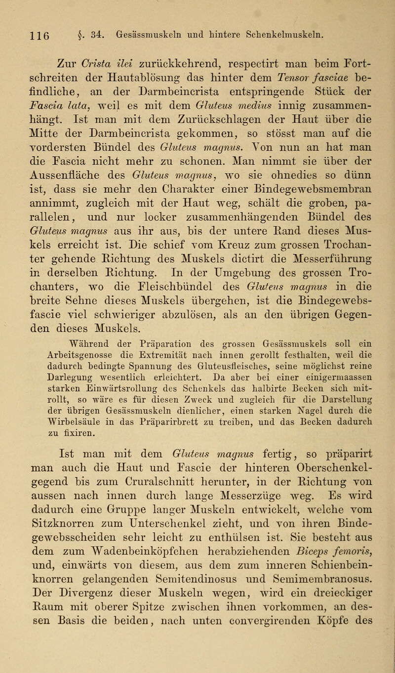 Zur Crista ilei zurückkehrend, respectirt man beim Fort- schreiten der Hautablösung das hinter dem Tetisor fasciae be- findliche, an der Darmbeincrista entspringende Stück der Fascia lata, weil es mit dem Gluteus medius innig zusammen- hängt. Ist man mit dem Zurückschlagen der Haut über die Mitte der Darmbeincrista gekommen, so stösst man auf die vordersten Bündel des Gluteus magnus. Von nun an hat man die Fascia nicht mehr zu schonen. Man nimmt sie über der Aussenfläche des Gluteus magnus, wo sie ohnedies so dünn ist, dass sie mehr den Charakter einer Bindegewebsmembran annimmt, zugleich mit der Haut weg, schält die groben, pa- rallelen, und nur locker zusammenhängenden Bündel des Gluteus magnus aus ihr aus, bis der untere Rand dieses Mus- kels erreicht ist. Die schief vom Kreuz zum grossen Trochan- ter gehende Richtung des Muskels dictirt die Messerführung in derselben Richtung. In der Umgebung des grossen Tro- chanters, wo die Fleischbündel des Gluteus magnus in die breite Sehne dieses Muskels übergehen, ist die Bindegewebs- fascie viel schwieriger abzulösen, als an den übrigen Gegen- den dieses Muskels. Während der Präparation des grossen Gesässniuskels soll ein Arbeitsgenosse die Extremität nach innen gerollt festhalten, weil die dadurch bedingte Spannung des Grluteusfleisches, seine möglichst reine Darlegung wesentlich erleichtert. Da aber bei einer einigermaassen starken Einwärtsrollung des Schenkels das halbirte Becken sich mit- rollt, so wäre es für diesen Zweck und zugleich für die Darstellung der übrigen Gesässmuskeln dienlicher, einen starken Nagel durch die Wirbelsäule in das Präparirbrett zu treiben, und das Becken dadurch zu fixiren. Ist man mit dem Gluteus magnus fertig, so präparirt man auch die Haut und Fascie der hinteren Oberschenkel- gegend bis zum Cruralschnitt herunter, in der Richtuug von aussen nach innen durch lange Messerzüge weg. Es wird dadurch eine Gruppe langer Muskeln entwickelt, welche vom Sitzknorren zum Unterschenkel zieht, und von ihren Binde- gewebsscheiden sehr leicht zu enthülsen ist. Sie besteht aus dem zum Wadenbeinköpfchen herabziehenden Biceps femoris, und, einwärts von diesem, aus dem zum inneren Schienbein- knorren gelangenden Semitendinosus und Semimembranosus. Der Divergenz dieser Muskeln wegen, wird ein dreiecldger Raum mit oberer Spitze zwischen ihnen vorkommen, an des- sen Basis die beiden, nach unten convergirenden Köpfe des