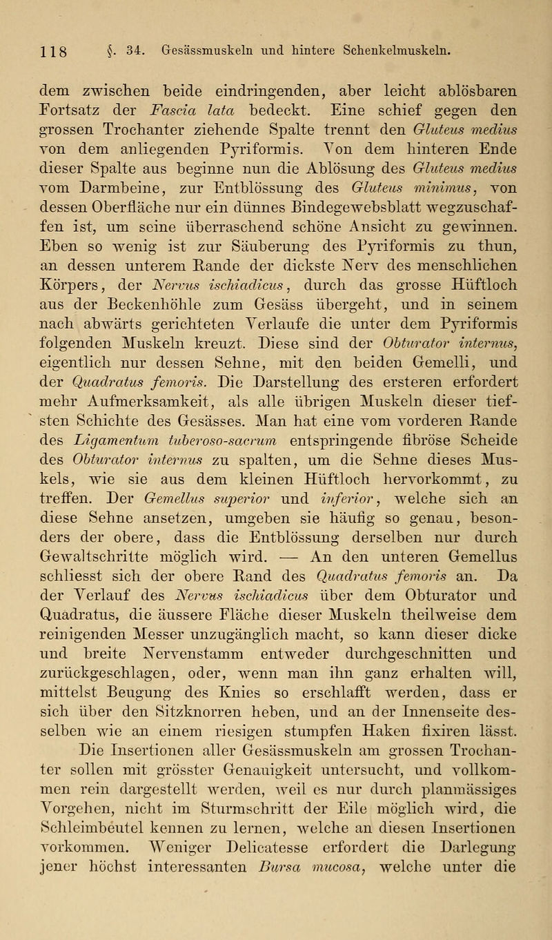 dem zwischen beide eindringenden, aber leicht ablösbaren Portsatz der Fascia lata bedeckt. Eine schief gegen den grossen Trochanter ziehende Spalte trennt den Gluteus medius von dem anliegenden Pyriformis. Von dem hinteren Ende dieser Spalte aus beginne nun die Ablösung des Gluteus medius vom Darmbeine, zur Entblössung des Gluteus minimus, von dessen Oberfläche nur ein dünnes Bindegewebsblatt wegzuschaf- fen ist, um seine überraschend schöne Ansicht zu gewinnen. Eben so wenig ist zur Säuberung des Pyriformis zu thun, an dessen unterem Eande der dickste Nerv des menschlichen Körpers, der Nervus ischiadicus, durch das grosse Hüftloch aus der Beckenhöhle zum Gesäss übergeht, und in seinem nach abwärts gerichteten Verlaufe die unter dem Pyriformis folgenden Muskeln kreuzt. Diese sind der Obturator internus, eigentlich nur dessen Sehne, mit den beiden Gemelli, und der Quadratus femoris. Die Darstellung des ersteren erfordert mehr Aufmerksamkeit, als alle übrigen Muskeln dieser tief- sten Schichte des Gesässes. Man hat eine vom vorderen Pande des Ligamentum tuberoso-sacrum entspringende fibröse Scheide des Obturator internus zu spalten, um die Sehne dieses Mus- kels, wie sie aus dem kleinen Hüftloch hervorkommt, zu treffen. Der Gemelhis superior und inferior, welche sich an diese Sehne ansetzen, umgeben sie häufig so genau, beson- ders der obere, dass die Entblössung derselben nur durch Gewaltschritte möglich wird. — An den unteren Gemellus schliesst sich der obere Rand des Quadratus femoris an. Da der Verlauf des Nervus ischiadicus über dem Obturator und Quadratus, die äussere Fläche dieser Muskeln theilweise dem reinigenden Messer unzugänglich macht, so kann dieser dicke und breite Nervenstamm entweder durchgeschnitten und zurückgeschlagen, oder, wenn man ihn ganz erhalten will, mittelst Beugung des Knies so erschlafft werden, dass er sich über den Sitzknorren heben, und an der Innenseite des- selben wie an einem riesigen stumpfen Haken fixiren lässt. Die Insertionen aller Gesässmuskeln am grossen Trochan- ter sollen mit grösster Genauigkeit untersucht, und vollkom- men rein dargestellt werden, Aveil es nur durch planmässiges Vorgehen, nicht im Sturmschritt der Eile möglich wird, die Schleimbeutel kennen zu lernen, welche an diesen Insertionen vorkommen. Weniger Delicatesse erfordert die Darlegung jener höchst interessanten Bursa nmcosa, welche unter die