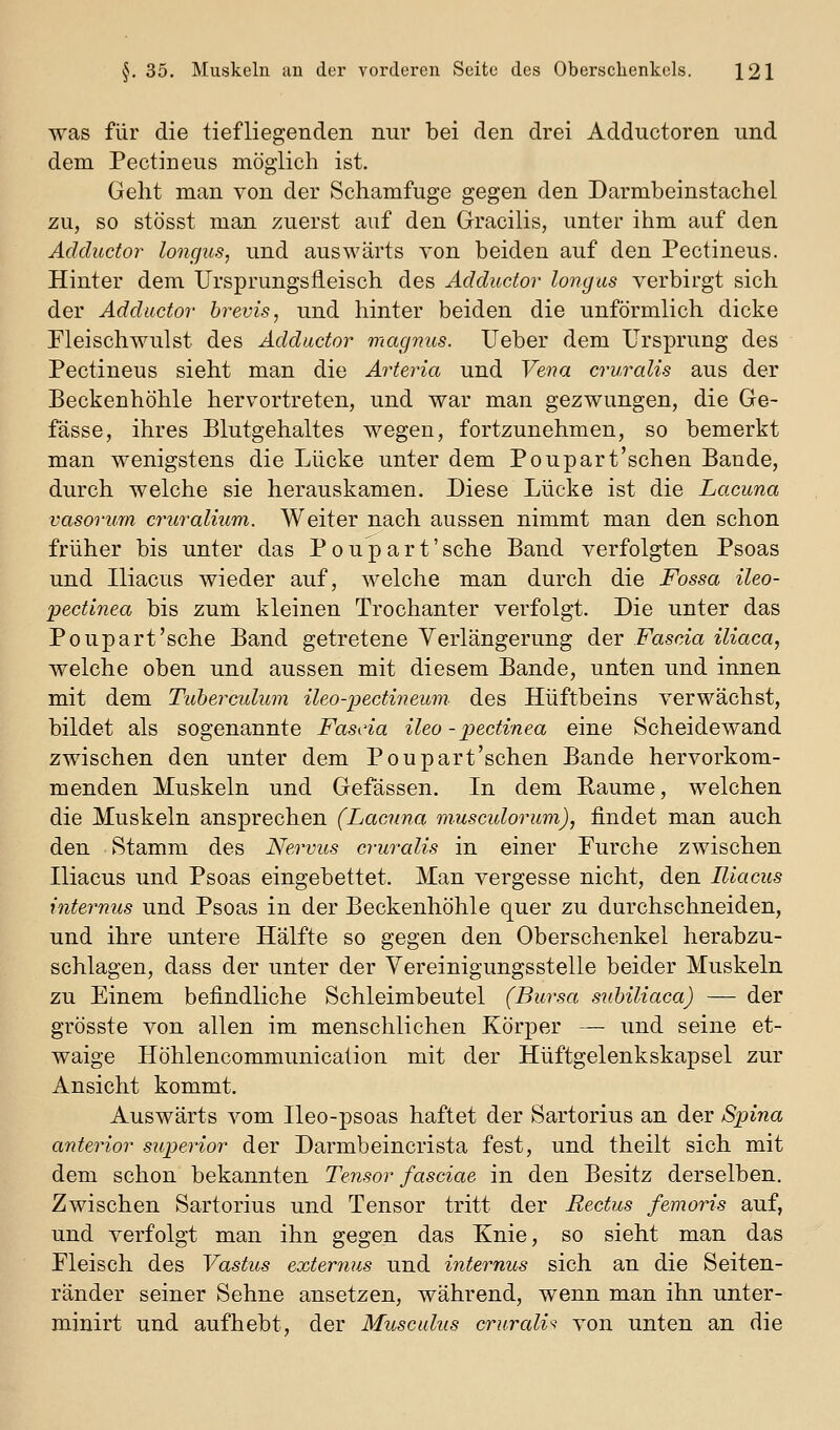 was für die tiefliegenden nur bei den drei Adductoren und dem Pectineus möglich ist. Gellt man von der Schamfuge gegen den Darmbeinstachel zu, so stösst man zuerst auf den Gracilis, unter ihm auf den Adductor longus, und auswärts von beiden auf den Pectineus. Hinter dem Ursprungs fleisch des Adductor longus verbirgt sich, der Adductor' brevis, und hinter beiden die unförmlich dicke Fleischwulst des Adductor magnus. lieber dem Ursprung des Pectineus sieht man die Arteria und Vena cruralis aus der Beckenhöhle hervortreten, und war man gezwungen, die Ge- fässe, ihres Blutgehaltes wegen, fortzunehmen, so bemerkt man wenigstens die Lücke unter dem Poupart'sehen Bande, durch welche sie herauskamen. Diese Lücke ist die Lacuna vasorum cruralium. Weiter nach aussen nimmt man den schon früher bis unter das P o u p a r t' sehe Band verfolgten Psoas und Iliacus wieder auf, welche man durch die Fossa ileo- •pectlnea bis zum kleinen Trochanter verfolgt. Die unter das Poupart'sehe Band getretene Verlängerung der Fascia iliaca, welche oben und aussen mit diesem Bande, unten und innen mit dem Tubercidum ileo-pectineum- des Hüftbeins verwächst, bildet als sogenannte Fascia ileo -i^ectinea eine Scheidewand zwischen den unter dem Poupart'sehen Bande hervorkom- menden Muskeln und Gefässen. In dem Baume, welchen die Muskeln ansprechen (Lacuna musculorum), findet man auch den Stamm des Nervus cruralis in einer Furche zwischen Hiacus und Psoas eingebettet. Man vergesse nicht, den Iliacus internus und Psoas in der Beckenhöhle quer zu durchschneiden, und ihre untere Hälfte so gegen den Oberschenkel herabzu- schlagen, dass der unter der Vereinigungsstelle beider Muskeln zu Einem befindliche Schleimbeutel (Bursa suhiliaca) — der grösste von allen im menschlichen Körper — und seine et- waige Höhlencommunication mit der Hüftgelenkskapsel zur Ansicht kommt. Auswärts vom Ileo-psoas haftet der Sartorius an der Spina anterior superior der Darmbeincrista fest, und theilt sich mit dem schon bekannten Tensor fasciae in den Besitz derselben. Zwischen Sartorius und Tensor tritt der Rectus femoris auf, und verfolgt man ihn gegen das Knie, so sieht man das Fleisch des Vastus exterims und internus sich an die Seiten- ränder seiner Sehne ansetzen, während, wenn man ihn unter- minirt und aufhebt, der Musculus crurali'^ von unten an die
