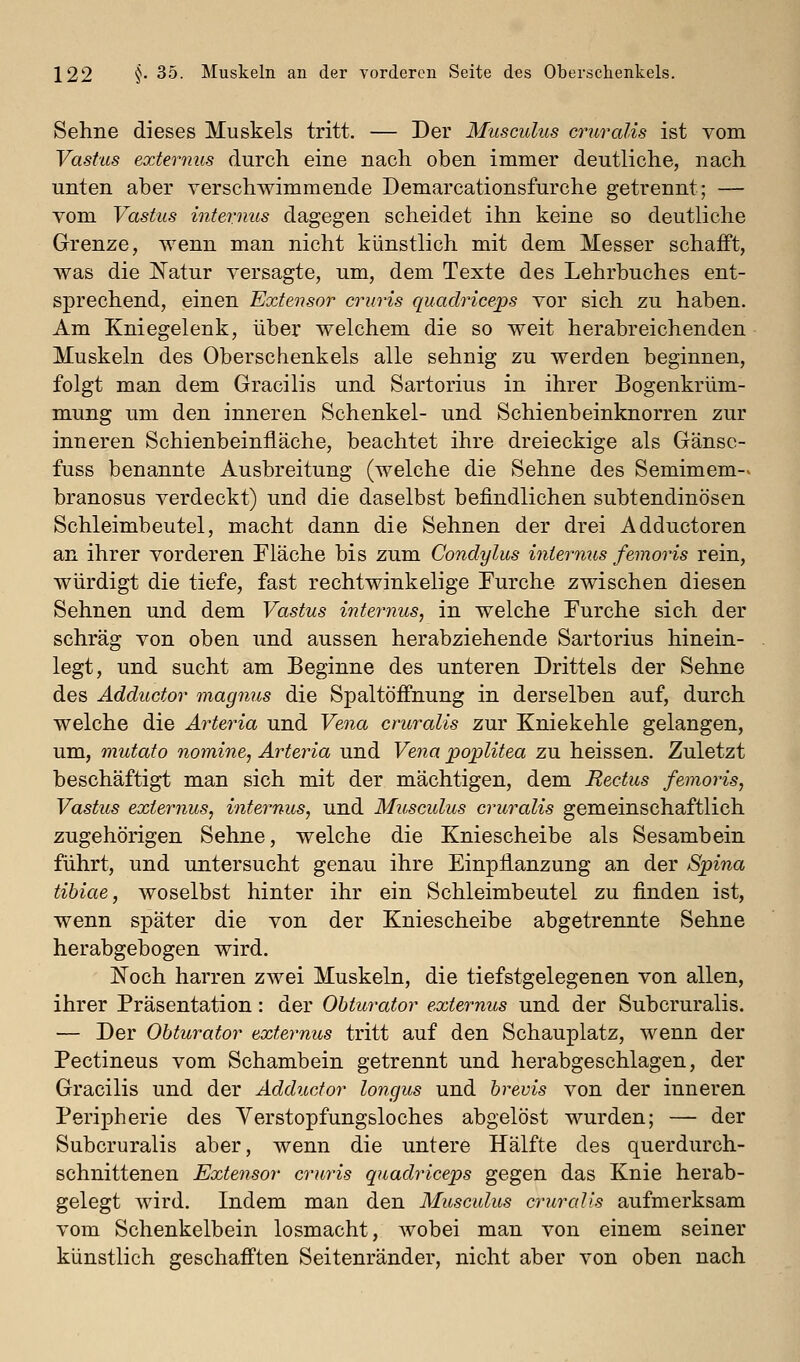 Sehne dieses Muskels tritt. — Der Musculus crui^alis ist vom Vast'us externus durch eine nach oben immer deutliche, nach unten aber verschwimmende Demarcationsfurche getrennt; — vom Vastus internus dagegen scheidet ihn keine so deutliche Grenze, wenn man nicht künstlich mit dem Messer schafft, was die IS'atur versagte, um, dem Texte des Lehrbuches ent- sprechend, einen Extensor cruris quadriceps vor sich zu haben. Am Kniegelenk, über welchem die so weit herabreichenden Muskeln des Oberschenkels alle sehnig zu werden beginnen, folgt man dem Gracilis und Sartorius in ihrer Bogenkrüm- mung um den inneren Schenkel- und Schienbeinknorren zur inneren Schienbeinfläche, beachtet ihre dreieckige als Gänsc- fuss benannte Ausbreitung (welche die Sehne des Semimem-> branosus verdeckt) und die daselbst befindlichen subtendinösen Schleimbeutel, macht dann die Sehnen der drei Adductoren an ihrer vorderen Fläche bis zum Condylus internus femoris rein, würdigt die tiefe, fast rechtwinkelige Furche zwischen diesen Sehnen und dem Vastus intermus, in welche Furche sich der schräg von oben und aussen herabziehende Sartorius hinein- legt, und sucht am Beginne des unteren Drittels der Sehne des Adductor magnus die Spaltöffnung in derselben auf, durch welche die Arteria und Vena cruralis zur Kniekehle gelangen, um, mutato nomine, Arteria und Vena po;plitea zu heissen. Zuletzt beschäftigt man sich mit der mächtigen, dem Rectus femoris, Vastus externus, internus, und Muscidus cruralis gemeinschaftlich zugehörigen Sehne, welche die Kniescheibe als Sesambein führt, und untersucht genau ihre Einpflanzung an der Spina tibiae, woselbst hinter ihr ein Schleimbeutel zu finden ist, wenn später die von der Kniescheibe abgetrennte Sehne herabgebogen wird. ISToch harren zwei Muskeln, die tiefstgelegenen von allen, ihrer Präsentation: der Obturator externus und der Subcruralis. — Der Obturator externus tritt auf den Schauplatz, wenn der Pectineus vom Schambein getrennt und herabgeschlagen, der Gracilis und der Adductor longus und brevis von der inneren Peripherie des Yerstopfungsloches abgelöst wurden; — der Subcruralis aber, wenn die untere Hälfte des querdurch- schnittenen Extensor cruris quadriceps gegen das Knie herab- gelegt wird. Indem man den Musculus cruralis aufmerksam vom Schenkelbein losmacht, wobei man von einem seiner künstlich geschafften Seitenränder, nicht aber von oben nach
