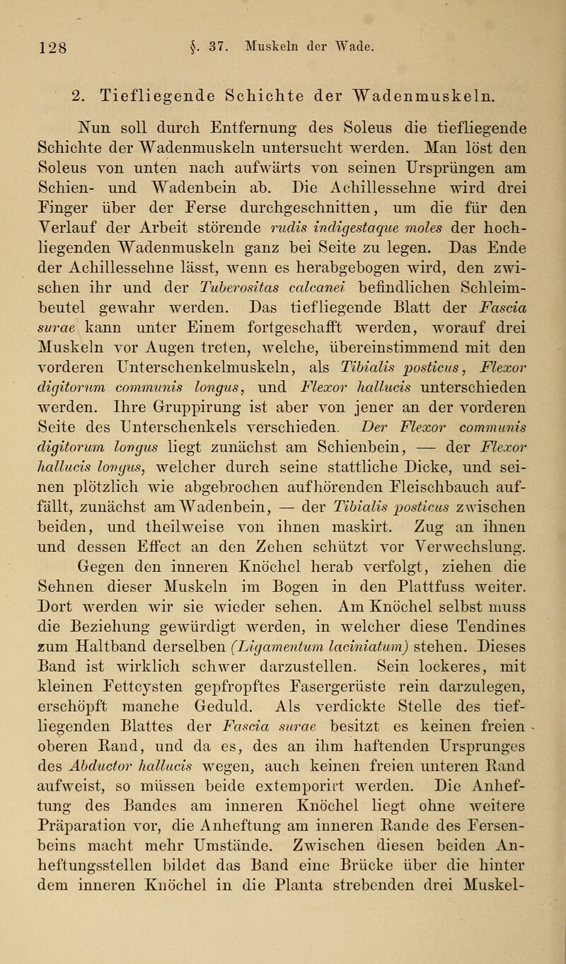 ' 2. Tiefliegende Schichte der Wadenmuskeln. l^un soll durch Entfernung des Soleus die tiefliegende Schichte der Wadenmuskeln untersucht werden. Man löst den Soleus von unten nach aufwärts von seinen Ursprüngen am Schien- und Wadenbein ab. Die Achillessehne wird drei Finger über der Ferse durchgeschnitten, um die für den Verlauf der Arbeit störende rudis indigestaque moles der hoch- liegenden Wadenmuskeln ganz bei Seite zu legen. Das Ende der Achillessehne lässt, wenn es herabgebogen wird, den zwi- schen ihr und der Tuherositas calcanei befindlichen Schleim- beutel gewahr werden. Das tiefliegende Blatt der Fascia surae kann unter Einem fortgeschafft werden, worauf drei Muskeln vor Augen treten, welche, übereinstimmend mit den vorderen Unterschenkelmuskeln, als Tihialis posticus, Flexor digitorum communis longus, und Flexor hallucis unterschieden werden. Ihre Gruppirung ist aber von jener an der vorderen Seite des Unterschenkels verschieden. Der Flexor communis digitorum longus liegt zunächst am Schienbein, — der Flexor hallucis longus, welcher durch seine stattliche Dicke, und sei- nen plötzlich wie abgebrochen aufhörenden Eleischbauch auf- fällt, zunächst am Wadenbein, — der Tihialis posticus zwischen beiden, und theilweise von ihnen maskirt. Zug an ihnen und dessen Effect an den Zehen schützt vor Verwechslung. Gegen den inneren Knöchel herab verfolgt, ziehen die Sehnen dieser Muskeln im Bogen in den Plattfuss weiter. Dort werden wir sie wieder sehen. Am Knöchel selbst muss die Beziehung gewürdigt werden, in welcher diese Tendines zum Haltband derselben (Ligamentum laciniatum) stehen. Dieses Band ist wirklich schwer darzustellen. Sein lockeres, mit kleinen Eettcysten gepfropftes Fasergerüste rein darzulegen, erschöpft manche Geduld. Als verdickte Stelle des tief- liegenden Blattes der Fascia surae besitzt es keinen freien oberen Rand, und da es, des an ihm haftenden Ursprunges des Äbducfor hallucis wegen, auch keinen freien unteren Band aufweist, so müssen beide extemporirt werden. Die Anhef- tung des Bandes am inneren Knöchel liegt ohne weitere Präparation vor, die Anheftung am inneren Bande des Fersen- beins macht mehr Umstände. Zwischen diesen beiden An- heftungsstellen bildet das Band eine Brücke über die hinter dem inneren Knöchel in die Planta strebenden drei Muskel-
