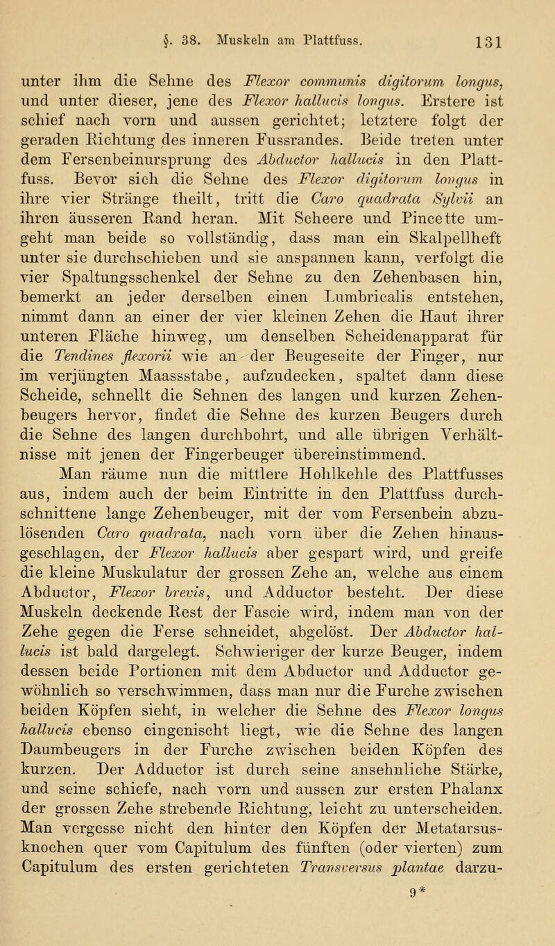 unter ihm die Sehne des Flexor communis digitorum longus, und unter dieser, jene des Flexor hallucis longus. Erstere ist schief nach vorn und aussen gerichtet; letztere folgt der geraden Eichtung des inneren Tussrandes. Beide treten unter dem Fersenbeinursprung des Äbductor hallucis in den Platt- fuss. Beyer sich die Sehne des Flexor digitonim longus in ihre vier Stränge theilt, tritt die Caro quadrata Sylvii an ihren äusseren B,and heran. Mit Scheere und Pincette um- geht man beide so vollständig, dass man ein Skalpellheft unter sie durchschieben und sie anspannen kann, verfolgt die vier Spaltungsschenkel der Sehne zu den Zehenbasen hin, bemerkt an jeder derselben einen Lumbricalis entstehen, nimmt dann an einer der vier kleinen Zehen die Haut ihrer unteren Fläche hinweg, um denselben Scheidenapparat für die Tendines flexorii wie an--der Beugeseite der Finger, nur im verjüngten Maassstabe, aufzudecken, spaltet dann diese Scheide, schnellt die Sehnen des langen und kurzen Zehen- beugers hervor, findet die Sehne des kurzen Beugers durch die Sehne des langen durchbohrt, und alle übrigen Verhält- nisse mit jenen der Fingerbeuger übereinstimmend. Man räume nun die mittlere Hohlkehle des Plattfusses aus, indem auch der beim Eintritte in den Plattfuss durch- schnittene lange Zehenbeuger, mit der vom Fersenbein abzu- lösenden Caro quadrata, nach vorn über die Zehen hinaus- geschlagen, der Flexor hallucis aber gespart wird, und greife die kleine Muskulatur der grossen Zehe an, welche aus einem Äbductor, Flexor brevis, und Adductor besteht. Der diese Muskeln deckende Pest der Fascie wird, indem man von der Zehe gegen die Ferse schneidet, abgelöst. Der Äbductor hal- lucis ist bald dargelegt. Schwieriger der kurze Beuger, indem dessen beide Portionen mit dem Äbductor und Adductor ge- wöhnlich so verschwimmen, dass man nur die Furche zwischen beiden Köpfen sieht, in welcher die Sehne des Flexor longus hallucis ebenso eingenischt liegt, wie die Sehne des langen Daumbeugers in der Furche zwischen beiden Köpfen des kurzen. Der Adductor ist durch seine ansehnliche Stärke, und seine schiefe, nach vorn und aussen zur ersten Phalanx der grossen Zehe strebende Richtung, leicht zu unterscheiden. Man vergesse nicht den hinter den Köpfen der Metatarsus- knochen quer vom Capitulum des fünften (oder vierten) zum Capitulum des ersten gerichteten Transversus plantae darzu-