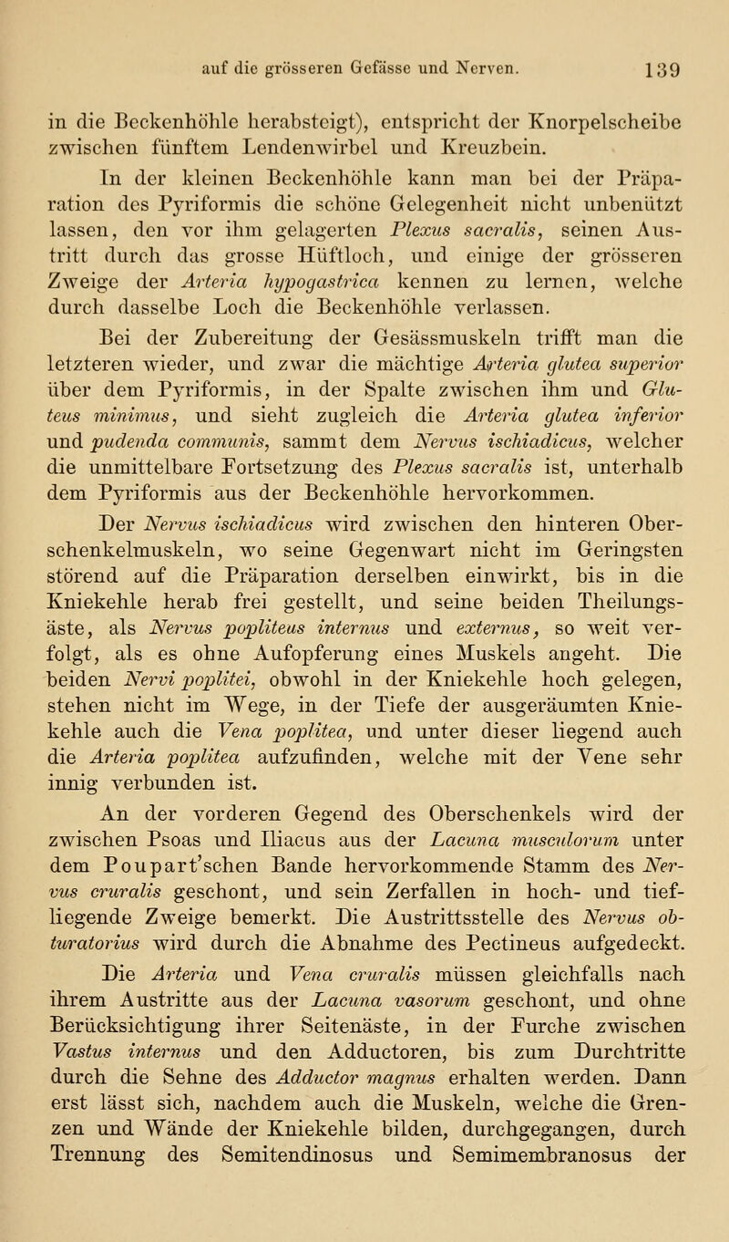 in die Beckenhöhle herabsteigt), entspricht der Knorpelscheibe zwischen fünftem Lendenwirbel und Kreuzbein. In der kleinen Beckenhöhle kann man bei der Präpa- ration des Pyriformis die schöne Gelegenheit nicht unbenutzt lassen, den vor ihm gelagerten Plexus sacralis, seinen Aus- tritt durch das grosse Hüftloch, und einige der grösseren Zweige der Arteria hypogastrica kennen zu lernen, welche durch dasselbe Loch die Beckenhöhle verlassen. Bei der Zubereitung der Gesässmuskeln trifft man die letzteren wieder, und zwar die mächtige Arteria glutea superior über dem Pyriformis, in der Spalte zwischen ihm und Gla- teus minimus, und sieht zugleich die Arter^ia glutea inferior und pudenda communis, sammt dem Nervtis ischiadicus, welcher die unmittelbare Fortsetzung des Plexus sacralis ist, unterhalb dem Pyriformis aus der Beckenhöhle hervorkommen. Der Nervus ischiadicus wird zwischen den hinteren Ober- schenkelmuskeln, wo seine Gegenwart nicht im Geringsten störend auf die Präparation derselben einwirkt, bis in die Kniekehle herab frei gestellt, und seine beiden Theilungs- äste, als Nervus popliteus internus und externus, so weit ver- folgt, als es ohne Aufopferung eines Muskels angeht. Die beiden Nervi poplitei, obwohl in der Kniekehle hoch gelegen, stehen nicht im Wege, in der Tiefe der ausgeräumten Knie- kehle auch die Vena poplitea, und unter dieser liegend auch die Arteria poplitea aufzufinden, welche mit der Yene sehr innig verbunden ist. An der vorderen Gegend des Oberschenkels wird der zwischen Psoas und Iliacus aus der Lacuna musculorum unter dem Poupart'schen Bande hervorkommende Stamm des Ner- vus cruralis geschont, und sein Zerfallen in hoch- und tief- liegende Zweige bemerkt. Die Austrittsstelle des Nervus oh- turatorius wird durch die Abnahme des Pectineus aufgedeckt. Die Arteria und Vena cruralis müssen gleichfalls nach ihrem Austritte aus der Lacuna vasorum geschont, und ohne Berücksichtigung ihrer Seitenäste, in der Furche zwischen Vastus internus und den Adductoren, bis zum Durchtritte durch die Sehne des Adductor magnus erhalten werden. Dann erst lässt sich, nachdem auch die Muskeln, welche die Gren- zen und Wände der Kniekehle bilden, durchgegangen, durch Trennung des Semitendinosus und Semimembranosus der