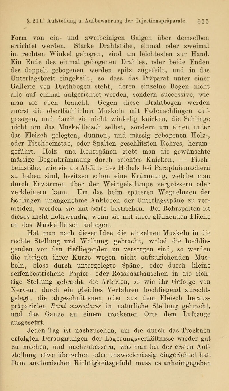 Form von ein- und zweibeinigen Galgen über demselben errichtet werden. Starke Drahtstäbe, einmal oder zweimal im rechten Winkel gebogen, sind am leichtesten zur Hand. Ein Ende des einmal gebogenen Drahtes, oder beide Enden des doppelt gebogenen Averden spitz zugefeilt, und in das Unterlagsbrett eingekeilt, so dass das Präparat unter einer Gallerie von Drathbogen steht, deren einzelne Bogen nicht alle auf einmal aufgerichtet werden, sondern successive, wie man sie eben braucht. Gegen diese Drahtbogen werden zuerst die oberliächlichen Muskeln mit Fadenschlingen auf- gezogen, und damit sie nicht winkelig knicken, die Schlinge nicht um das MuskelÜeisch selbst, sondern um einen unter das Fleisch gelegten, dünnen, und massig gebogenen Holz-, oder Fischbeinstab, oder Spalten geschlitzten Rohres, herum- geführt. Holz- und Rohrspänen giebt man die gewünschte massige Bogenkrümmung durch seichtes Knicken, — Fisch- beinstäbe, wie sie als Abfälle des Hobels bei Parapluiemachern zu haben sind, besitzen schon eine Krümmung, welche man durch Erwärmen über der Weingeistlampe vergrössern oder verkleinern kann. Um das beim späteren Wegnehmen der Schlingen unangenehme Ankleben der Unterlagsspäne zu ver- meiden, werden sie mit Seife bestrichen. Bei Rohrspalten ist dieses nicht nothwendig, wenn sie mit ihrer glänzenden Fläche an das MuskelÜeisch anliegen. Hat man nach dieser Idee die einzelnen Muskeln in die rechte Stellung und Wölbung gebracht, wobei die hochlie- genden vor den tiefliegenden zu versorgen sind, so werden die übrigen ihrer Kürze wegen nicht aufzuziehenden Mus- keln, bloss durch untergelegte Späne, oder durch kleine seifenbestrichene Papier- oder Rosshaarbauschen in die rich- tige Stellung gebracht, die Arterien, so wie ihr Gefolge von Nerven, durch ein gleiches Verfahren hochliegend zurecht- gelegt, die abgeschnittenen oder aus dem Fleisch heraus- präparirten Rami musculares in natürliche Stellung gebracht, und das Ganze an einem trockenen Orte dem Luftzuge ausgesetzt. Jeden Tag ist nachzusehen, um die durch das Trocknen erfolgten Derangirungen der Lagerungsverhältnisse wieder gut zu machen, und nachzubessern, was man bei der ersten Auf- stellung etwa übersehen oder unzweckmässig eingerichtet hat. Dem anatomischen Richtigkeitsgefühl muss es anheimgegeben