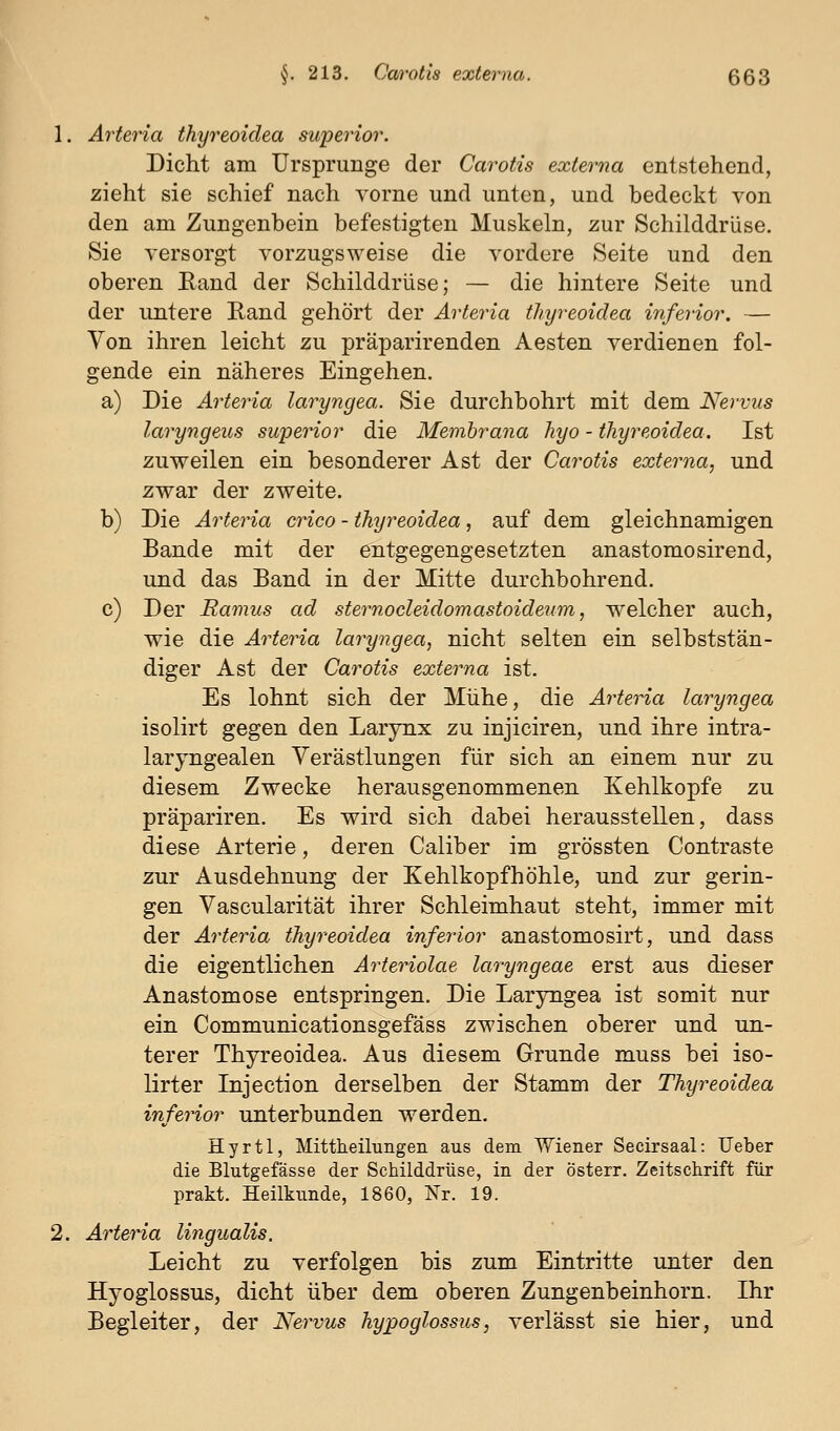 1. Arferia thyreoidea superior. Dicht am Ursprünge der Carotis externa entstehend, zieht sie schief nach vorne und unten, und bedeckt von den am Zungenbein befestigten Muskeln, zur Schilddrüse. Sie versorgt vorzugsweise die vordere Seite und den oberen Kand der Schilddrüse; — die hintere Seite und der untere Rand gehört der Arteria thyreoidea inferior. — Von ihren leicht zu präparirenden Aesten verdienen fol- gende ein näheres Eingehen. a) Die Arteria laryngea. Sie durchbohrt mit dem Nervus laryngeus superior die Membrana hyo - thyreoidea. Ist zuweilen ein besonderer Ast der Carotis externa, und zwar der zweite. b) Die Arteria crico - thyreoidea, auf dem gleichnamigen Bande mit der entgegengesetzten anastomosirend, und das Band in der Mitte durchbohrend. c) Der Eamus ad sternocleidomastoideum, welcher auch, wie die Arteria laryngea, nicht selten ein selbststän- diger Ast der Carotis externa ist. Es lohnt sich der Mühe, die Arteria laryngea isolirt gegen den Larynx zu injiciren, und ihre intra- laryngealen Yerästlungen für sich an einem nur zu diesem Zwecke herausgenommenen Kehlkopfe zu präpariren. Es wird sich dabei herausstellen, dass diese Arterie, deren Caliber im grössten Contraste zur Ausdehnung der Kehlkopf hohle, und zur gerin- gen Vascularität ihrer Schleimhaut steht, immer mit der Arteria thyreoidea inferior anastomosirt, und dass die eigentlichen Arteriolae laryngeae erst aus dieser Anastomose entspringen. Die Laryngea ist somit nur ein Communicationsgefäss zwischen oberer und un- terer Thyreoidea. Aus diesem Grunde muss bei iso- lirter Injection derselben der Stamm der Thyreoidea inferior unterbunden werden. Hyrtl, Mittheilungen aus dem Wiener Secirsaal: Ueber die Blutgefässe der Schilddrüse, in der Österr. Zeitschrift für lirakt. Heilkunde, 1860, Nr. 19. 2. Arteria lingualis. Leicht zu verfolgen bis zum Eintritte unter den Hyoglossus, dicht über dem oberen Zungenbeinhorn. Ihr Begleiter, der Nervus hypoglossus, verlässt sie hier, und