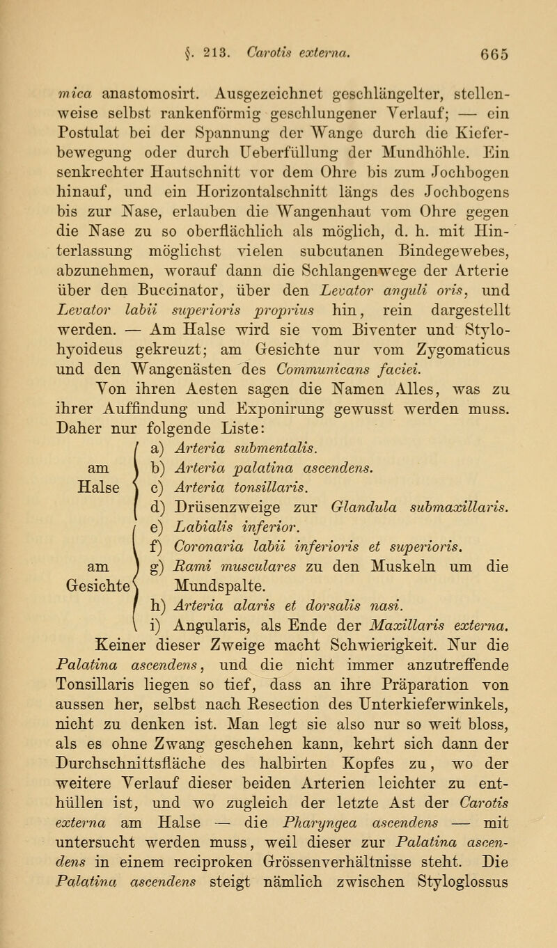 mica anastomosirt. Ausgezeichnet geschlängelter, stellen- weise selbst rankenförmig geschlungener Verlauf; — ein Postulat bei der Spannung der Wange durch die Kiefer- bewegung oder durch üeberfüllung der Mundhöhle. Ein senkrechter Hautschnitt vor dem Ohre bis zum Jochbogen hinauf, und ein Horizontalschnitt längs des Jochbogens bis zur IS'ase, erlauben die Wangenhaut vom Ohre gegen die Nase zu so oberflächlich als möglich, d. h. mit Hin- terlassung möglichst vielen subcutanen Bindegewebes, abzunehmen, worauf dann die Schlangenwege der Arterie über den Buccinator, über den Levator avguli oris, und Levator labii superioris proprius hin, rein dargestellt werden. — Am Halse wird sie vom Biventer und Stylo- hyoideus gekreuzt; am Gesichte nur vom Zygomaticus und den Wangenästen des Commumcans faciei. Yon ihren Aesten sagen die J^amen Alles, was zu ihrer Auffindung und Exponirung gewusst werden muss. Daher nur folgende Liste: !a) Arteria submentalis. b) Arteria palatina ascendens. c) Arteria tonsillaris. d) Drüsenzweige zur Glandula submaxillaris. e) Labialis inferior. f) Coronaria labii inferioris et superioris. am j g) Rami musculares zu den Muskeln um die Gesichte \ Mundspalte. h) Arteria alaris et dorsalis 7iasi. i) Angularis, als Ende der Maxillaris externa. Keiner dieser Zweige macht Schwierigkeit. JN'ur die Palatina ascendens, und die nicht immer anzutreff'ende Tonsillaris liegen so tief, dass an ihre Präparation von aussen her, selbst nach Eesection des Unterkieferwinkels, nicht zu denken ist. Man legt sie also nur so weit bloss, als es ohne Zwang geschehen kann, kehrt sich dann der Durchschnittsfläche des halbirten Kopfes zu, wo der weitere Verlauf dieser beiden Arterien leichter zu ent- hüllen ist, und wo zugleich der letzte Ast der Carotis externa am Halse — die Pharyngea ascendens — mit untersucht werden muss, weil dieser zur Palatina ascen- dens in einem reciproken Grössenverhältnisse steht. Die Palatina ascendens steigt nämlich zwischen Styloglossus