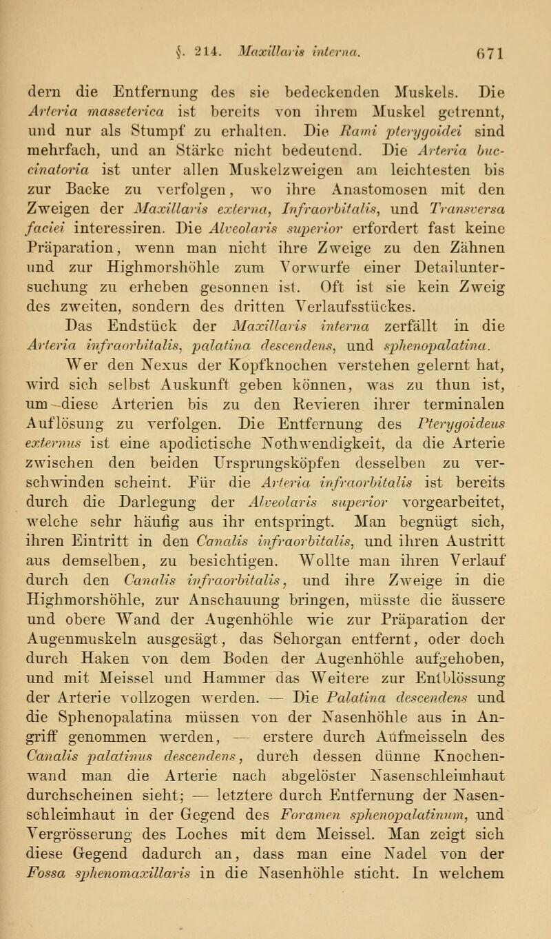 dem die Entfernung des sie bedeckenden Muskels. Die Aricria masseterica ist bereits von ihrem Muskel getrennt, und nur als Stumpf zu erhalten. Die Rami pterygoidei sind mehrfach, und an Stärke nicht bedeutend. Die Artena huc- cinatoria ist unter allen Muskelzweigen am leichtesten bis zur Backe zu verfolgen, wo ihre Anastomosen mit den Zweigen der MaxiUaris externa, Infraorbifalis, und Tranftversa faciei interessiren. Die Alveolaris superior erfordert fast keine Präparation, wenn man nicht ihre Zweige zu den Zähnen und zur Highmorshöhle zum Vorwurfe einer Detailunter- suchung zu erheben gesonnen ist. Oft ist sie kein Zweig des zweiten, sondern des dritten Yerlaufsstückes. Das Endstück der MaxiUaris interna zerfällt in die Arferia infraorhitaUs, 2:>alatina descendens, und spliei)Opalatina. Wer den jS'exus der Kopfknochen verstehen gelernt hat, wird sich selbst Auskunft geben können, was zu thun ist, um - diese Arterien bis zu den Revieren ihrer terminalen Auflösung zu verfolgen. Die Entfernung des Pterygoideus exterims ist eine apodictische Ts^othwendigkeit, da die Arterie zwischen den beiden Urspruugsköpfen desselben zu ver- schwinden scheint. Für die Arieria infraorhitalis ist bereits durch die Darlegung der Alveolaris superior vorgearbeitet, welche sehr häufig aus ihr entspringt. Man begnügt sich, ihren Eintritt in den Canalis infraorhitalis, und ihren Austritt aus demselben, zu besichtigen. Wollte man ihren Verlauf durch den Canalis infraorhitalis, und ihre Zweige in die Highmorshöhle, zur Anschauung bringen, müsste die äussere und obere Wand der Augenhöhle wie zur Präparation der Augenmuskeln ausgesägt, das Sehorgan entfernt, oder doch durch Haken von dem Boden der Augenhöhle aufgehoben, und mit Meissel und Hammer das Weitere zur Entulössung der Arterie vollzogen werden. — Die Palatiria descendens und die Sphenopalatina müssen von der Xasenhöhle aus in An- griff genommen werden, — erstere durch Aüfmeisseln des Canalis palatiiius descendens, durch dessen dünne Knochen- wand man die Arterie nach abgelöster Xasenschleimhaut durchscheinen sieht; — letztere durch Entfernung der ]S'asen- schleimhaut in der Gegend des Foramen sphenopakdimim, und Vergrösserung des Loches mit dem Meissel. Man zeigt sich diese Gegend dadurch an, dass man eine Nadel von der Fossa sphenomaozillaris in die Nasenhöhle sticht. In welchem