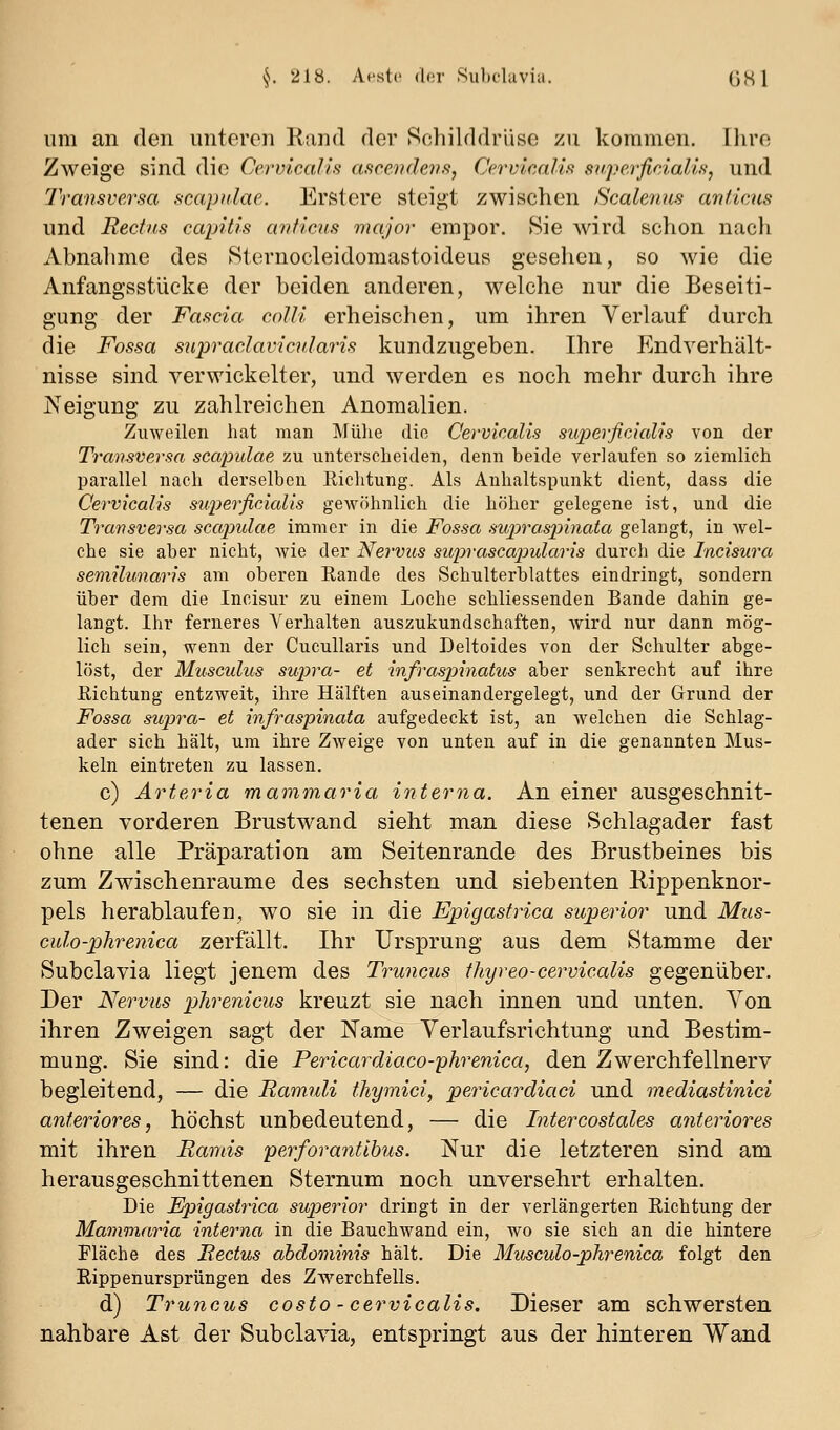 um an den unteren Kund der Schilddrüse zu kommen. Ihre Zweige sind die CervicaUs aficendeih^, Cervicalis superfinalis, und Transversa scapulae. Erstere steigt zwischen Scalenus aniicus und Recfus capitis anficus major empor. Bie wird schon nach Abnahme des Sternocleidomastoideus gesehen, so wie die Anfangsstücke der beiden anderen, welche nur die Beseiti- gung der Fascia colli erheischen, um ihren Verlauf durch die Fossa siipraclavicularis kundzugeben. Ihre Endverhält- nisse sind verwickelter, und werden es noch mehr durch ihre Neigung zu zahlreichen Anomalien. Zuweilen hat man Mülie die CervicaUs superficialis von der Transversa scapulae zu unterscheiden, denn beide verlaufen so ziemlich parallel nach derselben ßiclitung. Als Anhaltspunkt dient, dass die CervicaUs superficialis gewöhnlich die höher gelegene ist, und die Transversa scapulae immer in die Fossa supraspinata gelangt, in Avel- che sie aber nicht, wie der Nervus suprascap)ularis durch die Incisura semilunaris am oberen Rande des Schulterblattes eindringt, sondern über dem die Incisur zu einem Loche schliessenden Bande dahin ge- langt. Ihr ferneres Verhalten auszukundschaften, wird nur dann mög- lich sein, wenn der Cucullaris und Deltoides von der Schulter abge- löst, der Musculus supra- et infraspinatus aber senkrecht auf ihre Eichtung entzweit, ihre Hälften auseinandergelegt, und der Grund der Fossa supra- et infraspinata aufgedeckt ist, an welchen die Schlag- ader sich hält, um ihre Zweige von unten auf in die genannten Mus- keln eintreten zu lassen. c) Arteria mammaria, interna. An einer ausgeschnit- tenen vorderen Brustwand sieht man diese Schlagader fast ohne alle Präparation am Seitenrande des Brustbeines bis zum Zwischenräume des sechsten und siebenten Kippenknor- X)els herablaufen, wo sie in die Epigastrica superior und Mus- cido-phrenica zerfällt. Ihr Ursprung aus dem Stamme der Subclavia liegt jenem des Truncus thyreo-cervicalis gegenüber. Der Nervus phrenicus kreuzt sie nach innen und unten. Von ihren Zweigen sagt der Name Verlaufsrichtung und Bestim- mung. Sie sind: die Pericardiaco-phrenica, den Zwerchfellnerv begleitend, — die Ranmli thymici, pericardiaci und mediastinici anteriores, höchst unbedeutend, — die Intercostales anteriores mit ihren Rands perforanttbus. Nur die letzteren sind am herausgeschnittenen Sternum noch unversehrt erhalten. Die Epigastrica superior dringt in der verlängerten Eichtung der Mavimaria interna in die Bauchwand ein, wo sie sich an die hintere Fläche des Rectus abdominis hält. Die Musculo-phrenica folgt den Rippenursprüngen des Zwerchfells. d) Truncus costo - cervicalis. Dieser am schwersten nahbare Ast der Subclavia, entspringt aus der hinteren Wand
