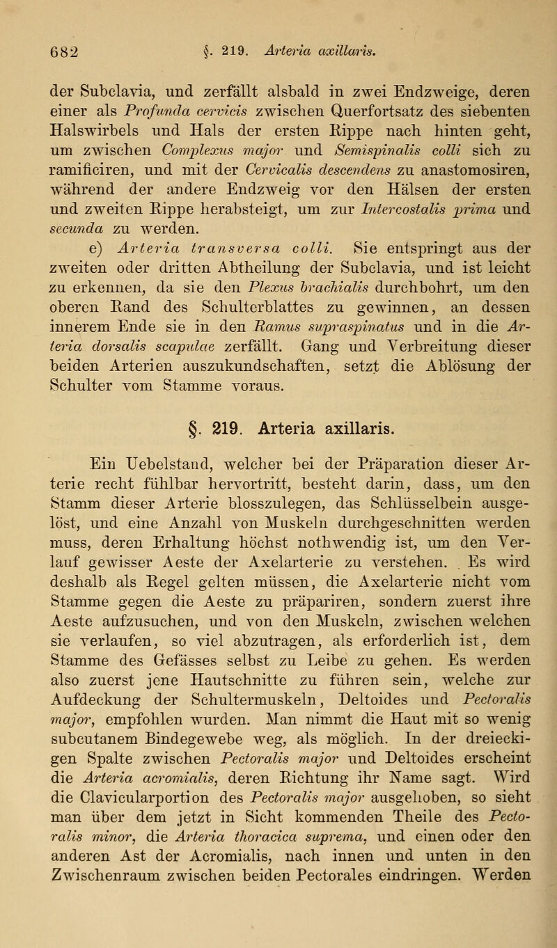 der Subclavia, und zerfällt alsbald in zwei Endzweige, deren einer als Profunda cervieis zwischen Querfortsatz des siebenten Halswirbels und Hals der ersten Kippe nach hinten geht, um zwischen Complexus major und SemispinaUs colli sich zu ramificiren, und mit der Cervicalis descevdens zu anastomosiren, während der andere Endzweig vor den Hälsen der ersten und zweiten Eippe herabsteigt, um zur hitercostalis iwima und secunda zu werden. e) Arteria transversa colli. Sie entspringt aus der zweiten oder dritten Abtheilung der Subclavia, und ist leicht zu erkennen, da sie den Plexus hrachialis durchbohrt, um den oberen Eand des Schulterblattes zu gewinnen, an dessen innerem Ende sie in den Ramus supraspinaius und in die Ar- teria dorsalis scapulae zerfällt. Gang und Verbreitung dieser beiden Arterien auszukundschaften, setzt die Ablösung der Schulter vom Stamme voraus. §. 219. Arteria axillaris. Ein üebelstand, welcher bei der Präparation dieser Ar- terie recht fühlbar hervortritt, besteht darin, dass, um den Stamm dieser Arterie blosszulegen, das Schlüsselbein ausge- löst, und eine Anzahl von Muskeln durchgeschnitten werden muss, deren Erhaltung höchst nothwendig ist, um den Ver- lauf gewisser Aeste der Axelarterie zu verstehen. . Es wird deshalb als E,egel gelten müssen, die Axelarterie nicht vom Stamme gegen die Aeste zu präpariren, sondern zuerst ihre Aeste aufzusuchen, und von den Muskeln, zwischen welchen sie verlaufen, so viel abzutragen, als erforderlich ist, dem Stamme des Gefässes selbst zu Leibe zu gehen. Es werden also zuerst jene Hautschnitte zu führen sein, welche zur Aufdeckung der Schultermuskeln, Deltoides und Pectoralis major, empfohlen wurden. Man nimmt die Haut mit so wenig subcutanem Bindegewebe weg, als möglich. In der dreiecki- gen Spalte zwischen Pectoralis major und Deltoides erscheint die Arteria acromialis, deren Eichtung ihr Name sagt. Wird die Clavicularportion des Pectoralis major ausgehoben, so sieht man über dem jetzt in Sicht kommenden Theile des Pecto- ralis minor, die Arteria thoracica suprema, und einen oder den anderen Ast der Acromialis, nach innen und unten in den Zwischenraum zwischen beiden Pectorales eindringen. Werden