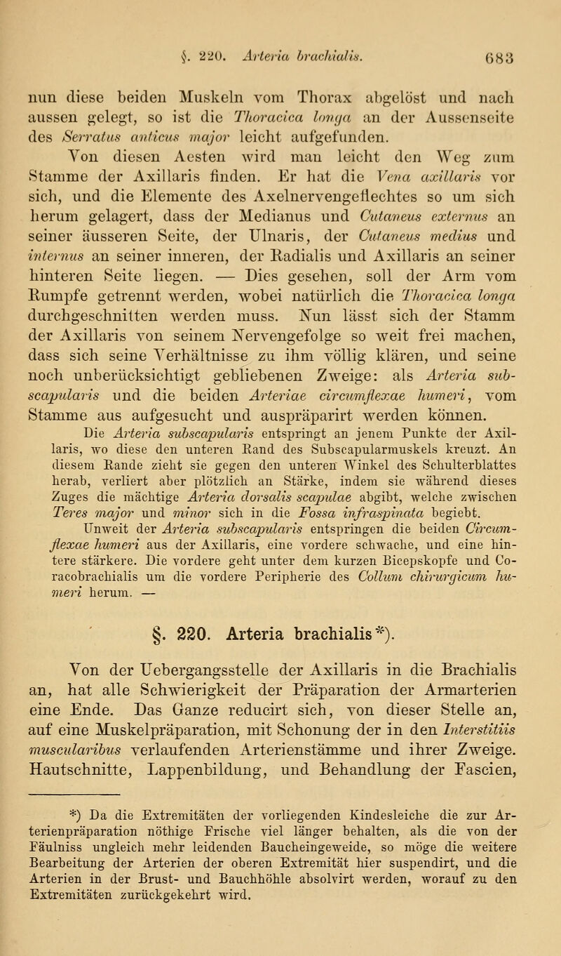 nun diese beiden Muskeln vom Thorax abgelöst und nach aussen gelegt, so ist die Thoracica longa an der Aussenseite des Serratiis anticus major leicht aufgefunden. Yen diesen Aesten wird man leicht den Weg zum Stamme der Axillaris finden. Er hat die Vena axillaris vor sich, und die Elemente des Axelnervengeliechtes so um sich herum gelagert, dass der Medianus und Cutaneus externus an seiner äusseren Seite, der Ulnaris, der Cutaneus medius und internus an seiner inneren, der Radialis und Axillaris an seiner hinteren Seite liegen. — Dies gesehen, soll der Arm vom Eumpfe getrennt werden, wobei natürlich die Thoracica longa durchgeschnitten werden muss. jSTun lässt sich der Stamm der Axillaris von seinem Nervengefolge so weit frei machen, dass sich seine Verhältnisse zu ihm völlig klären, und seine noch unberücksichtigt gebliebenen Zweige: als Arteria sub- scapularis und die beiden Arteriae circumflexae humeri, vom Stamme aus aufgesucht und auspräparirt werden können. Die Arteria suhscaiDularis entspringt an jenem Punkte der Axil- laris, WO diese den unteren Rand des Subscapularrauskels kreuzt. An diesem Eande zieht sie gegen den unteren AVinkel des Schulterblattes herab, verliert aber plötzlich an Stärke, indem sie während dieses Zuges die mächtige Arteria dorsalis sca2mlae abgibt, welche zwischen Teres major und minor sich in die Fossa infraspinata begiebt. UnAveit der Arteria suhscapularis entspringen die beiden Circum- flexae humeri aus der Axillaris, eine vordere schwache, und eine hin- tere stärkere. Die vordere geht unter dem kurzen Bicepskopfe und Co- racobrachialis um die vordere Peripherie des Collimi chirurgicum hu- meri herum. — §. 220. Arteria brachialis^'). Von der Ilebergangsstelle der Axillaris in die Brachialis an, hat alle Schwierigkeit der Präparation der Armarterien eine Ende. Das Ganze reducirt sich, von dieser Stelle an, auf eine Muskelpräparation, mit Schonung der in den Interstitiis muscularibus verlaufenden Arterienstämme und ihrer Zweige. Hautschnitte, Lappenbildung, und Behandlung der Fascien, *) Da die Extremitäten der vorliegenden Kindesleiche die zur Ar- terienpräparation nöthige Frische viel länger behalten, als die von der Fäulniss ungleich mehr leidenden Baucheingeweide, so möge die weitere Bearbeitung der Arterien der oberen Extremität hier suspendirt, und die Arterien in der Brust- und Bauchhöhle absolvirt werden, worauf zu den Extremitäten zurückgekehrt wird.