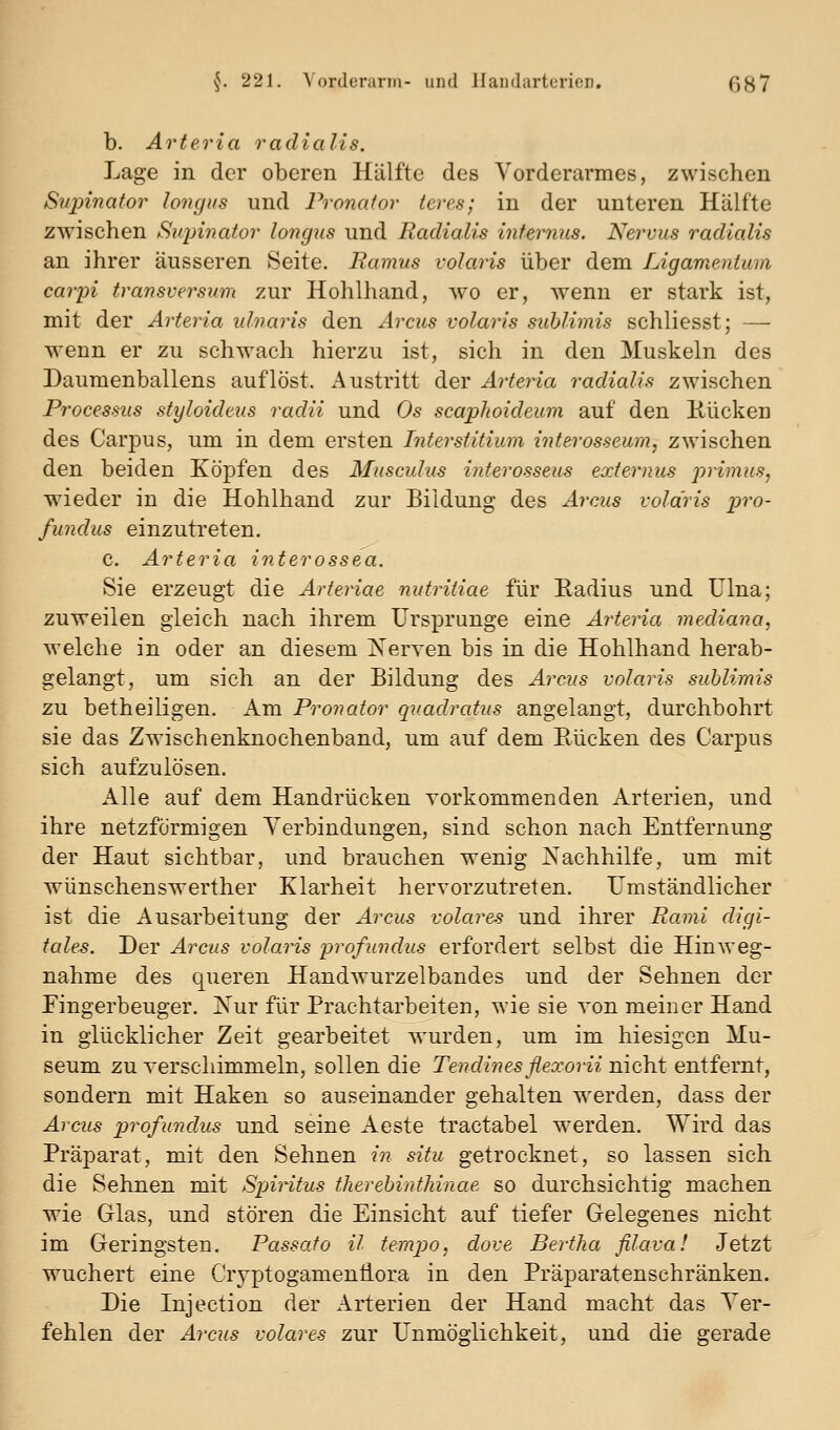 b. Arteria radialis. Lage in der oberen Hälfte des Vorderarmes, zwischen Supinator longus und Pronator teres; in der unteren Hälfte zwischen Supinator longus und Radialis internus. Nervus radialis an ihrer äusseren Seite. Bamus volaris über dem Ligamentum carpi transversum zur Hohlhand, wo er, wenn er stark ist, mit der Arteria ulvaris den Arcus volaris sublimis schliesst; — wenn er zu schwach hierzu ist, sich in den Muskeln des Daumenballens auflöst. Austritt der Arteria radialis zwischen Processus styloideus radii und Os scapJwideum auf den Kücken des Carpus, um in dem ersten Interstitium interosseum, zwischen den beiden Köpfen des Musculus interosseus externus primus, w^ieder in die Hohlhand zur Bildung des Arcus volaris pro- fundus einzutreten. c. Arteria interossea. Sie erzeugt die Arteriae nutriiiae für Eadius und Ulna; zuweilen gleich nach ihrem Ursprünge eine Arteria mediana, welche in oder an diesem Nerven bis in die Hohlhand herab- gelangt, um sich an der Bildung des Arcus volaris sublimis zu betheiligen. Am Pronator quadrafus angelangt, durchbohrt sie das Zwischenknochenband, um auf dem Bücken des Carpus sich aufzulösen. Alle auf dem Handrücken vorkommenden Arterien, und ihre netzförmigen Verbindungen, sind schon nach Entfernung der Haut sichtbar, und brauchen wenig Nachhilfe, um mit Wünschenswerther Klarheit hervorzutreten. Umständlicher ist die Ausarbeitung der Arcus volares und ihrer Rami digi- tales. Der Arcus volaris profundus erfordert selbst die Hinweg- nahme des queren Handwurzelbandes und der Sehnen der Fingerbeuger. Nur für Prachtarbeiten, wie sie von meiner Hand in glücklicher Zeit gearbeitet wurden, um im hiesigen Mu- seum zu verschimmeln, sollen die Tendines flexorii nicht entfernt, sondern mit Haken so auseinander gehalten werden, dass der Arcus profundus und seine Aeste tractabel w-erden. Wird das Präparat, mit den Sehnen in situ getrocknet, so lassen sich die Sehnen mit Spjiritus therebinthinae so durchsichtig machen wie Glas, und stören die Einsicht auf tiefer Gelegenes nicht im Geringsten. Passato il tempo, dove Bertlia flava! Jetzt wuchert eine Cryptogamenliora in den Präparatenschränken. Die Injection der Arterien der Hand macht das Ver- fehlen der Arcus volares zur Unmöglichkeit, und die gerade